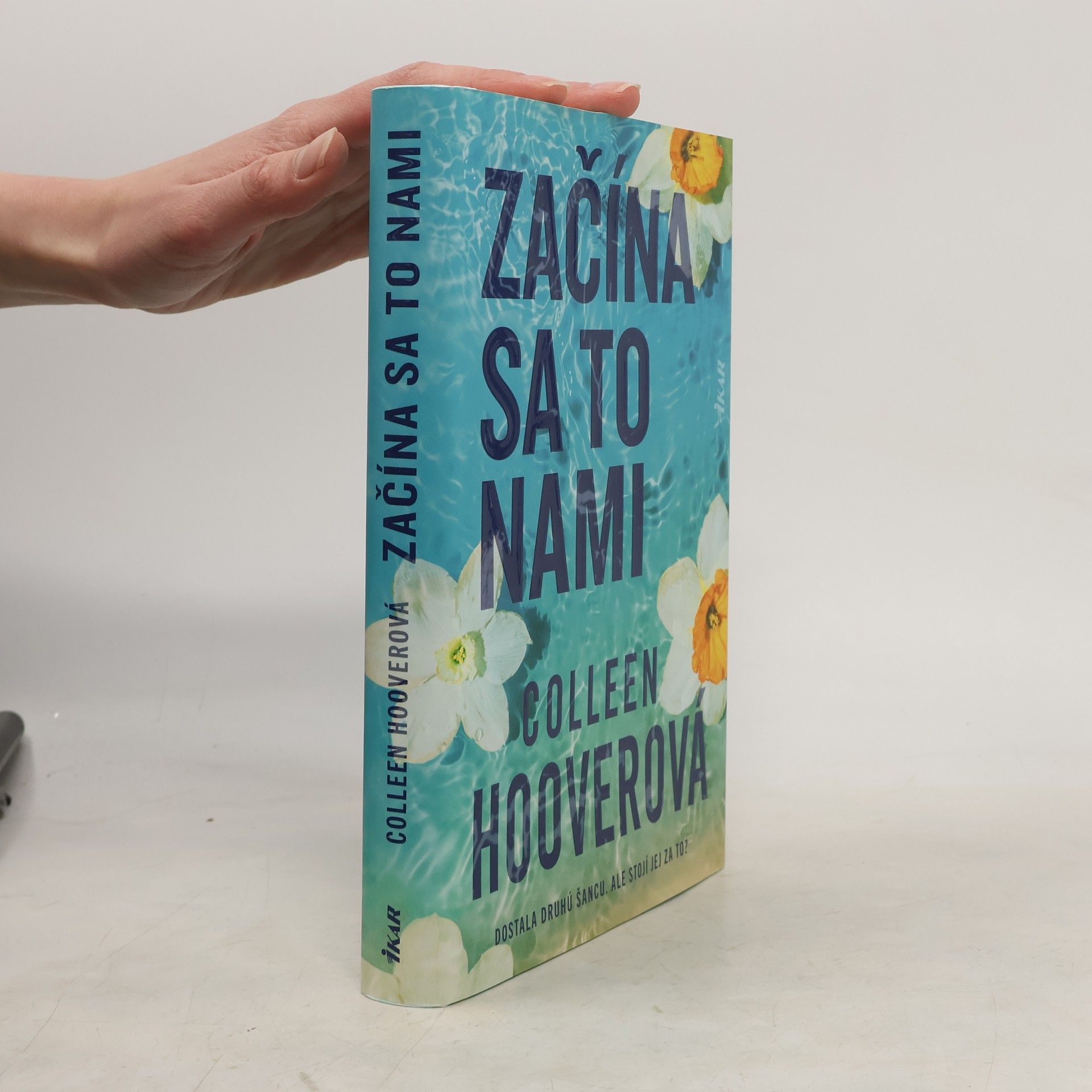 Colleen Hoover Začína sa to nami