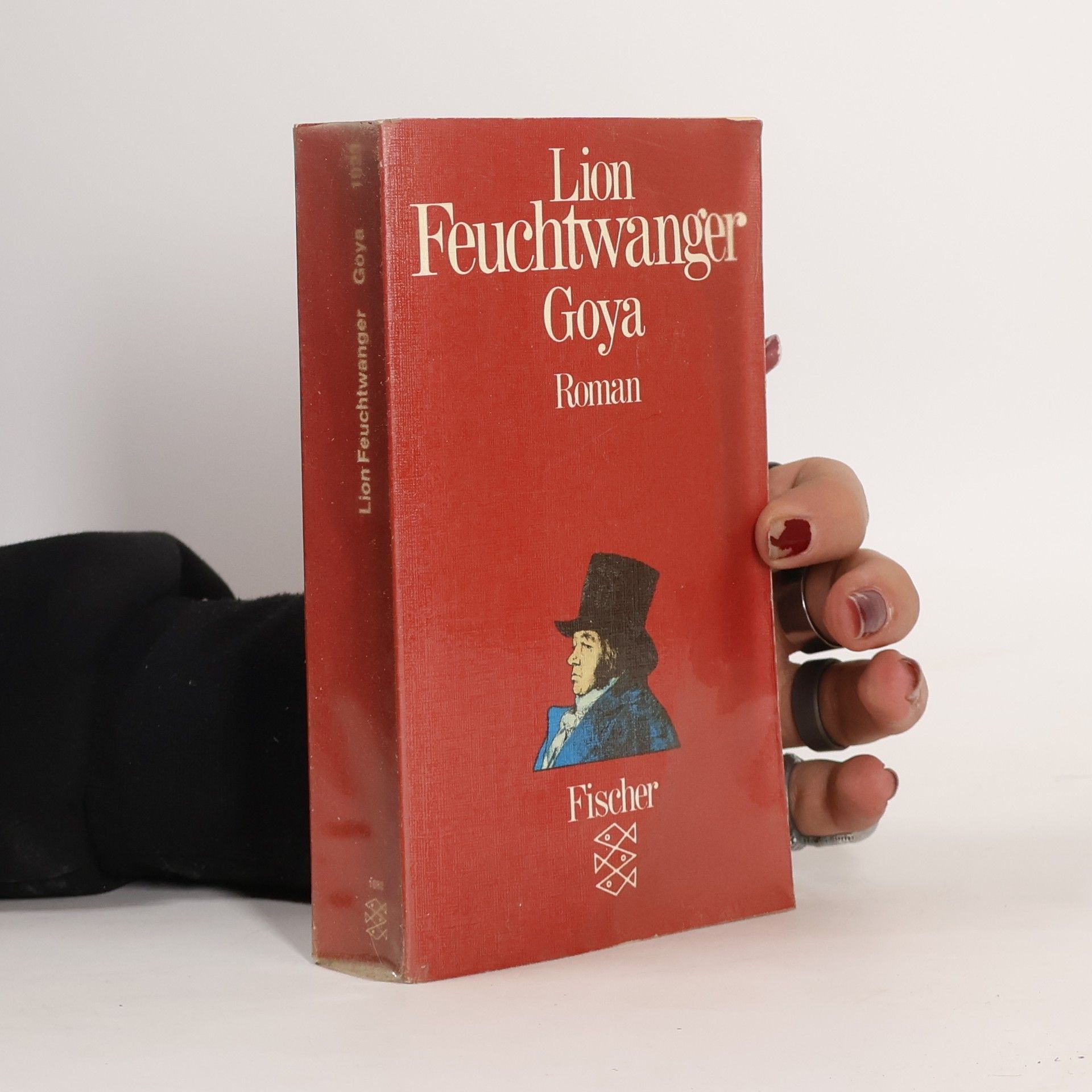 Lion Feuchtwanger Goya oder der arge Weg der Erkenntnis