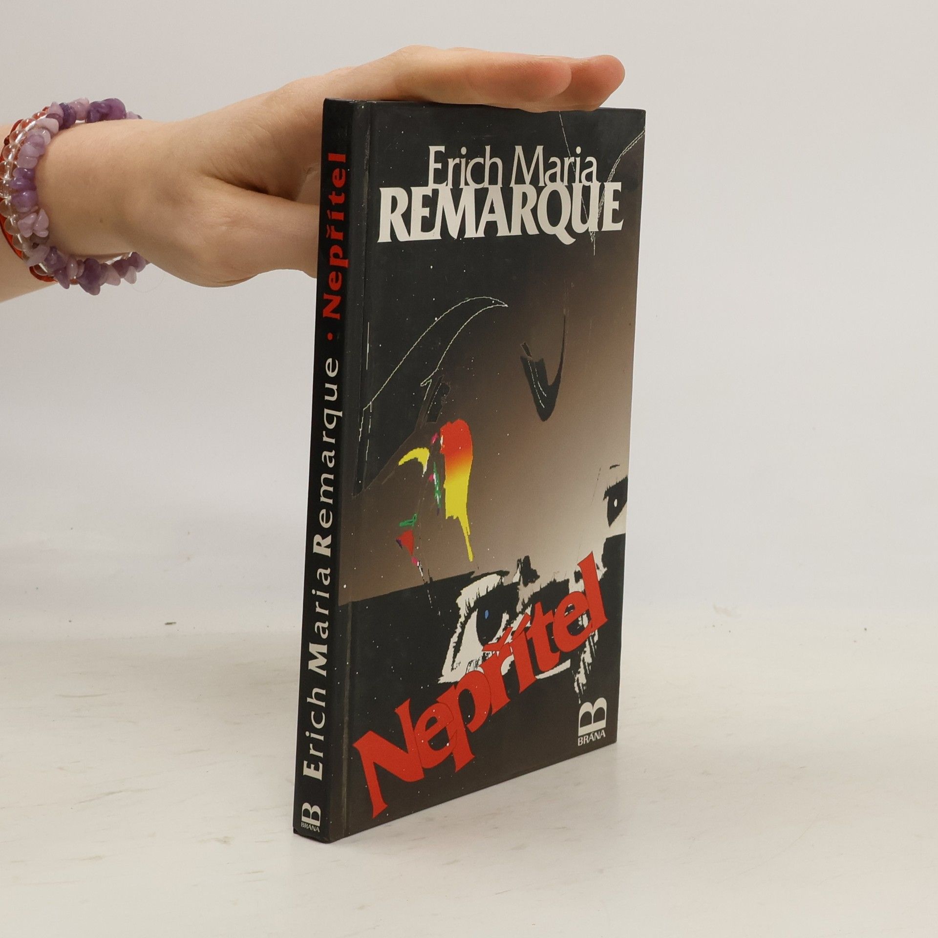 Erich Maria Remarque Nepřítel