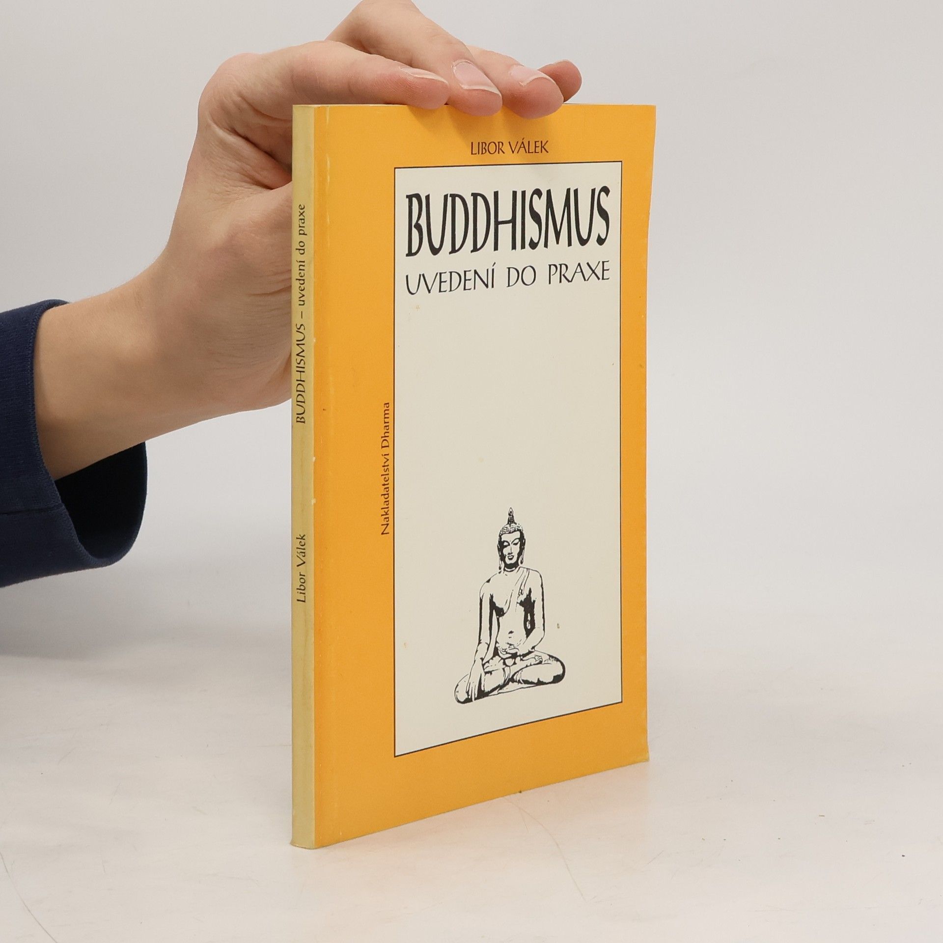 Buddhismus : uvedení do praxe