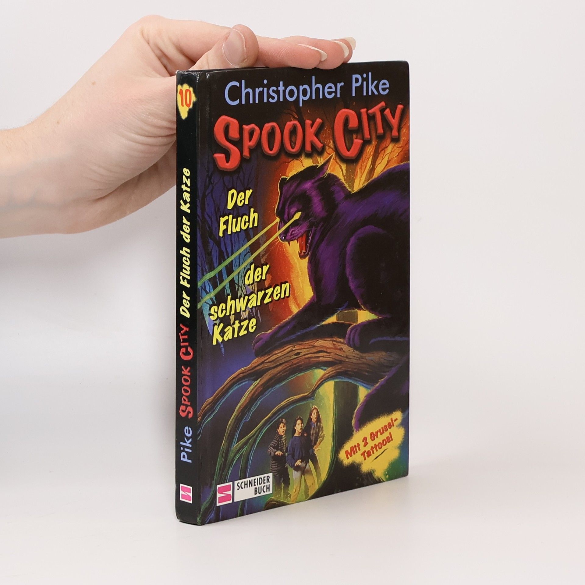 Christopher Pike Spook City