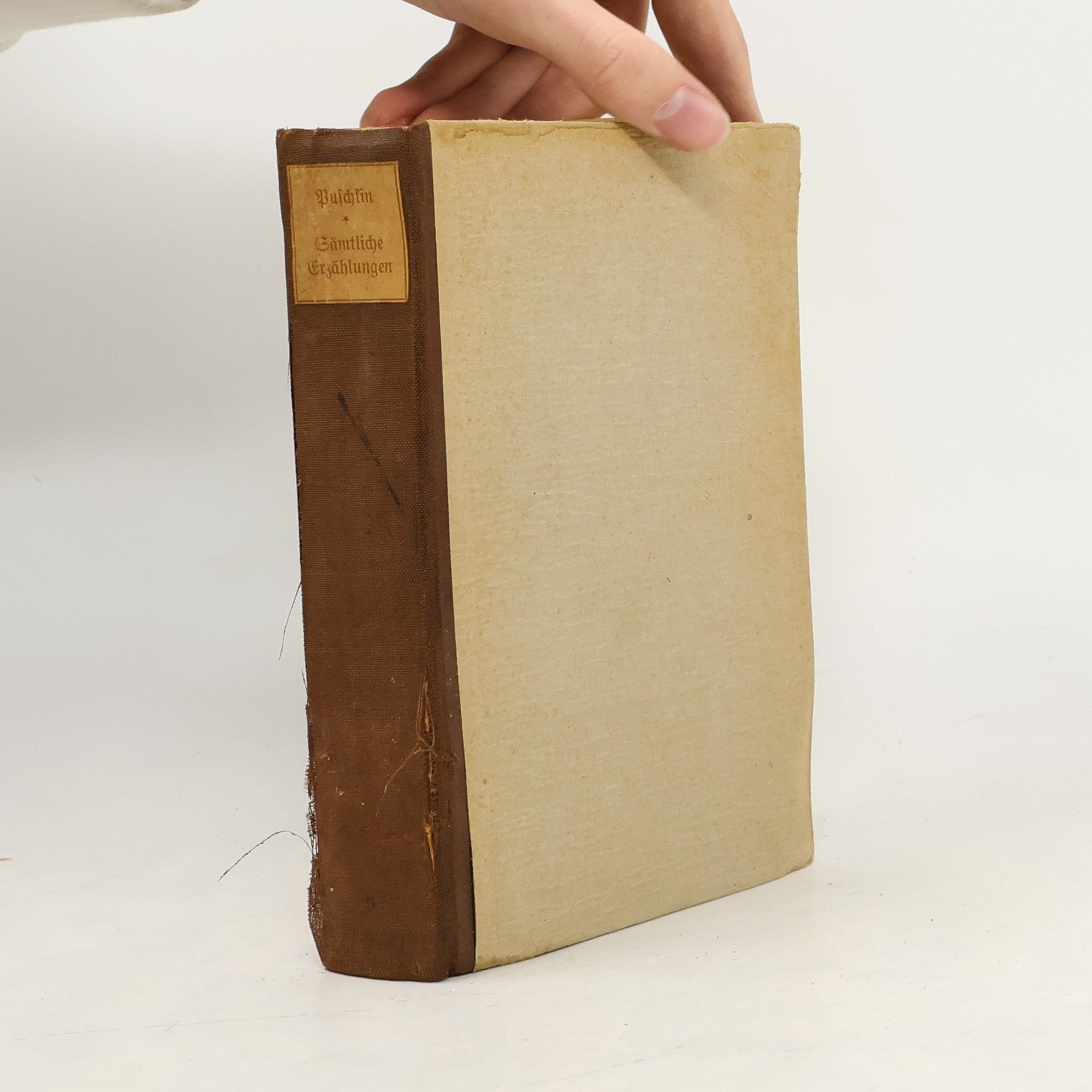 Alexander Pushkin Erzählungen