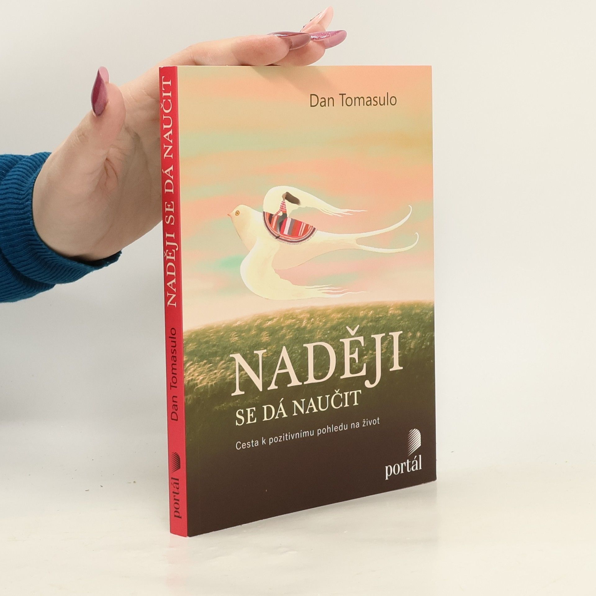 Daniel J. Tomasulo Naději se dá naučit : cesta k pozitivnímu pohledu na život