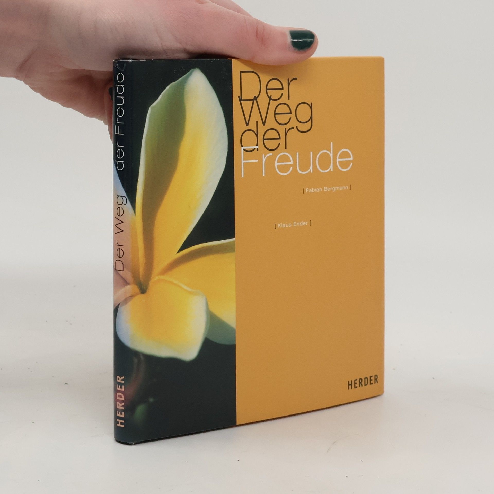 Fabian Bergmann Der Weg der Freude