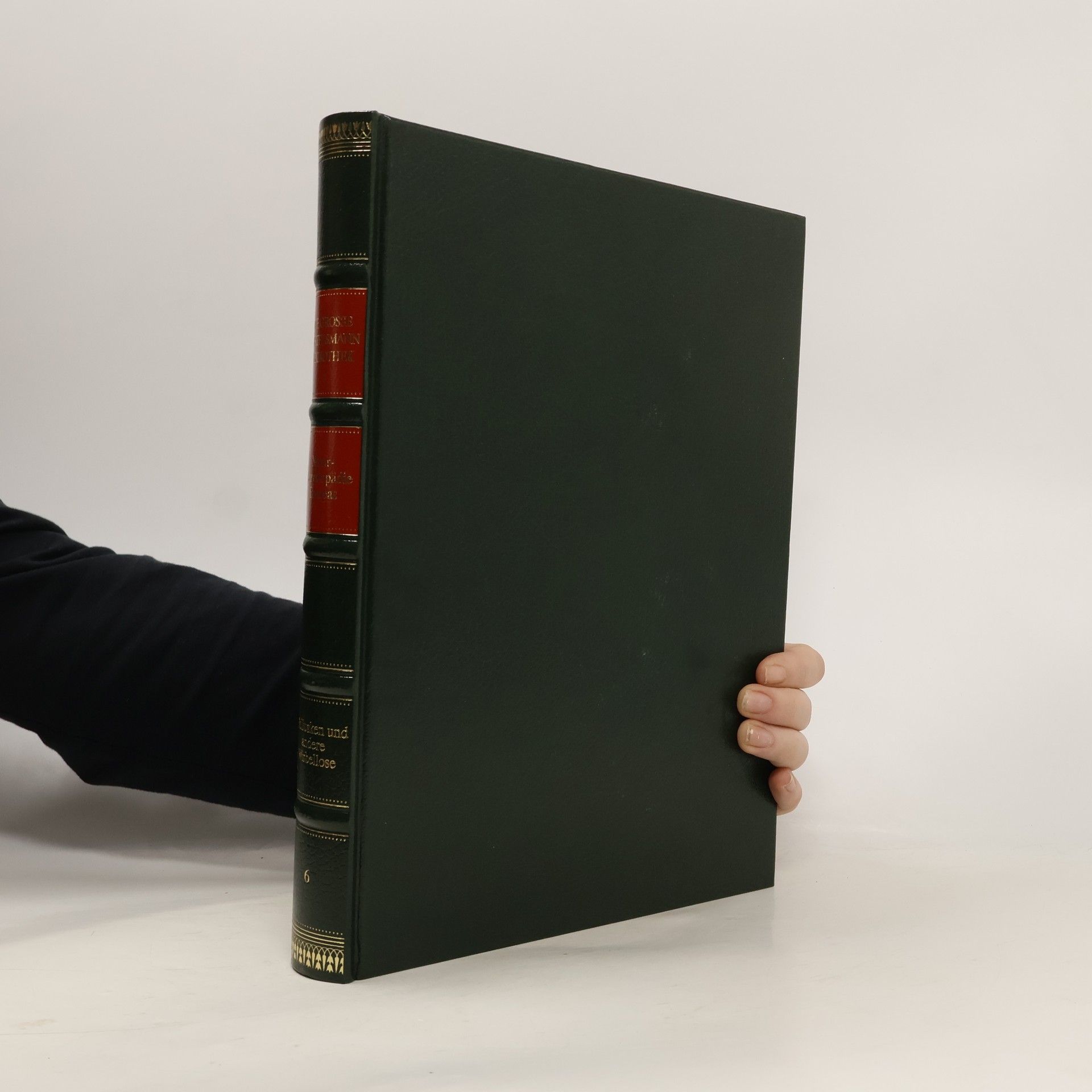 Gunter Steinbach Naturenzyklopädie Europas. 6. Mollusken und andere Wirbellose