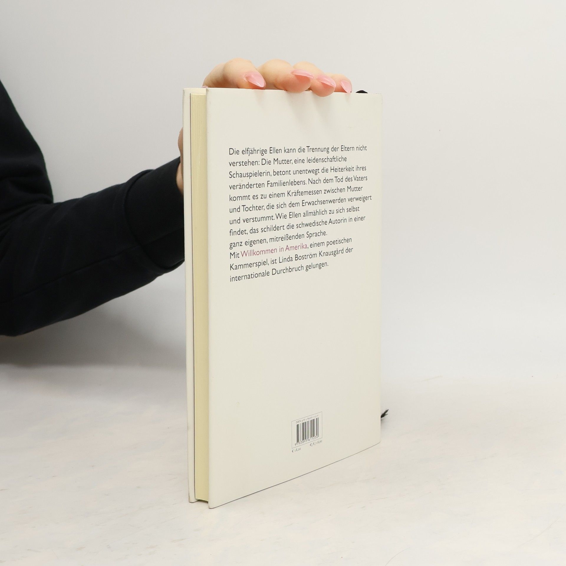 Linda Boström Knausgård Willkommen in Amerika