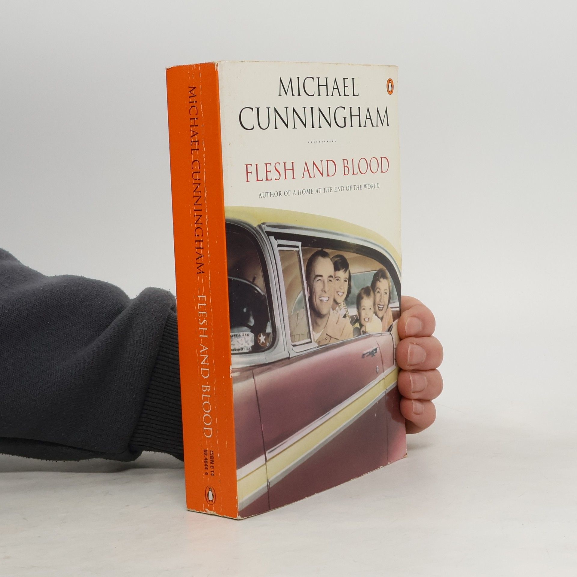 Michael Cunningham Flesh and Blood