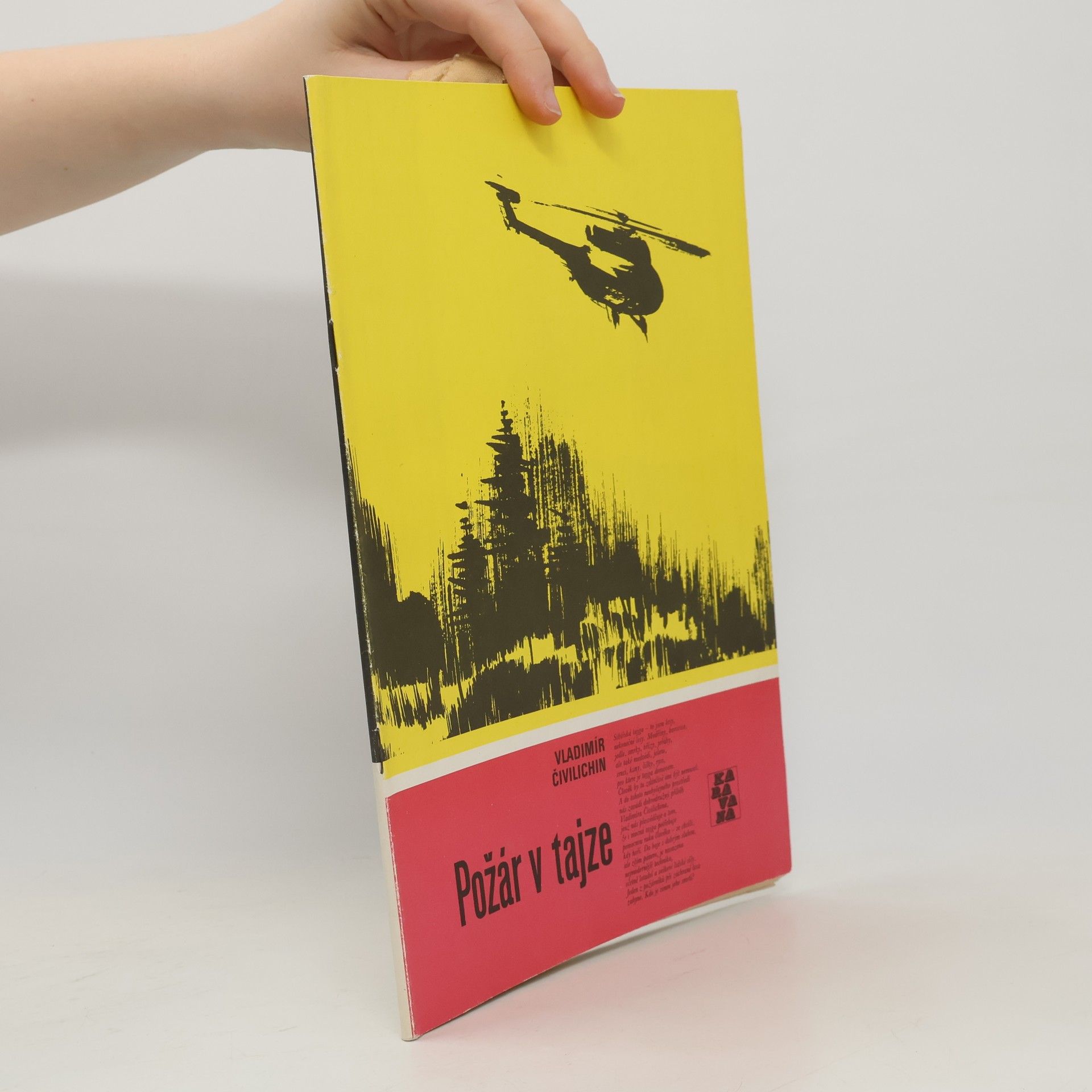 Vladimír Čivilichin Požár v tajze