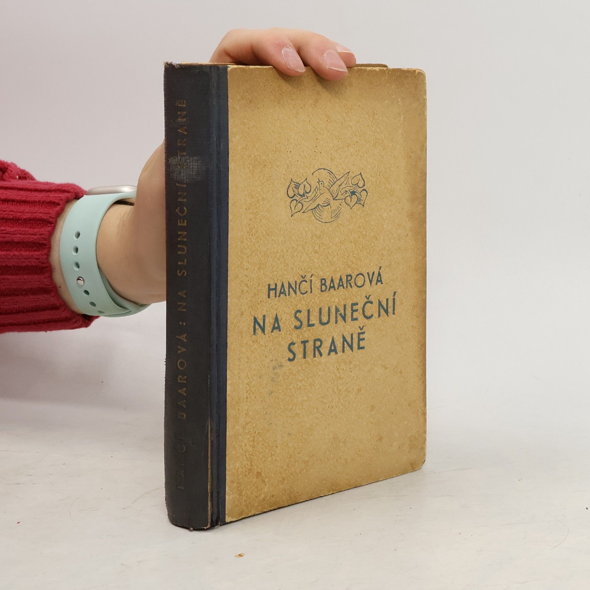 Baarová Hančí Na sluneční straně : chodský román