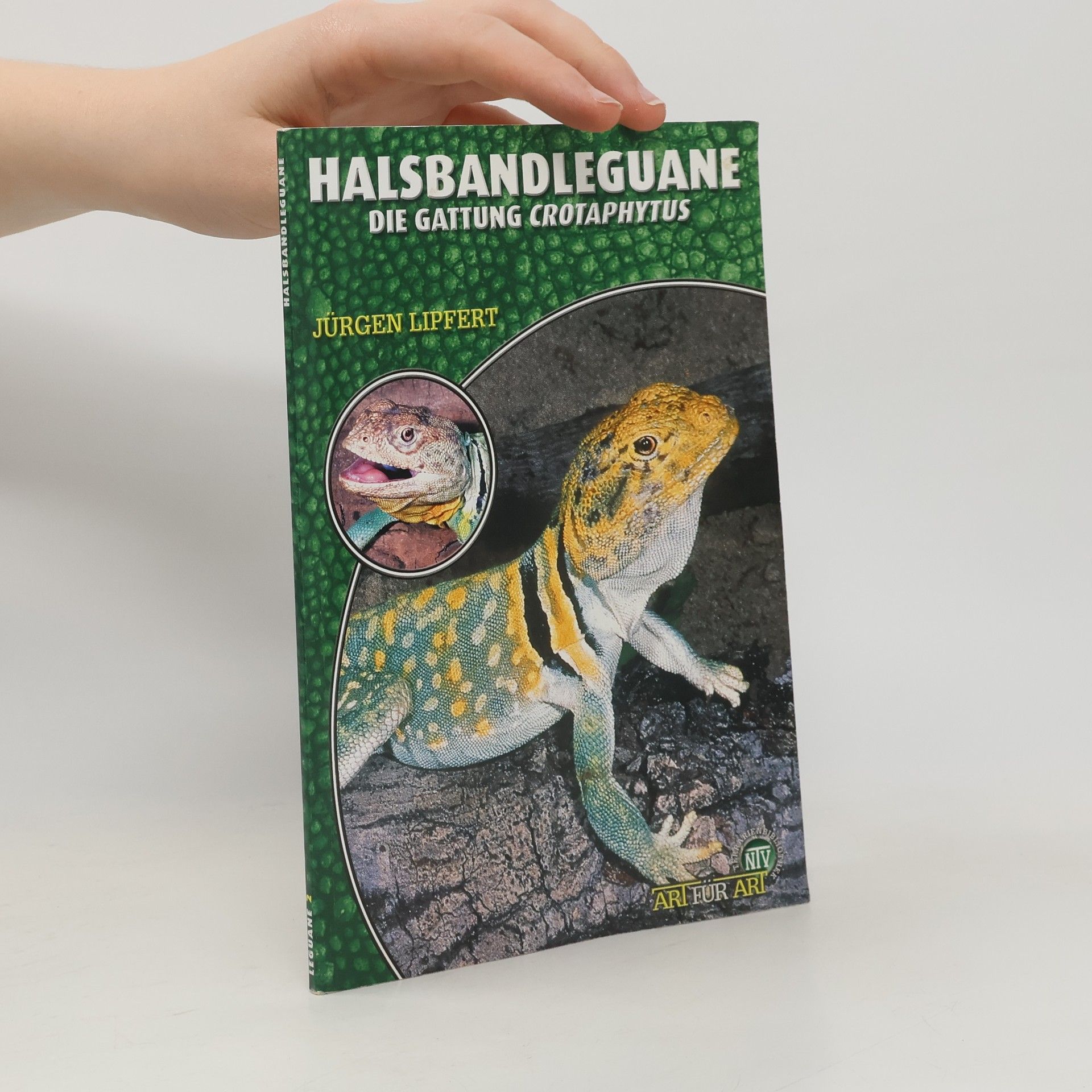 Jürgen Lipfert Halsbandleguane