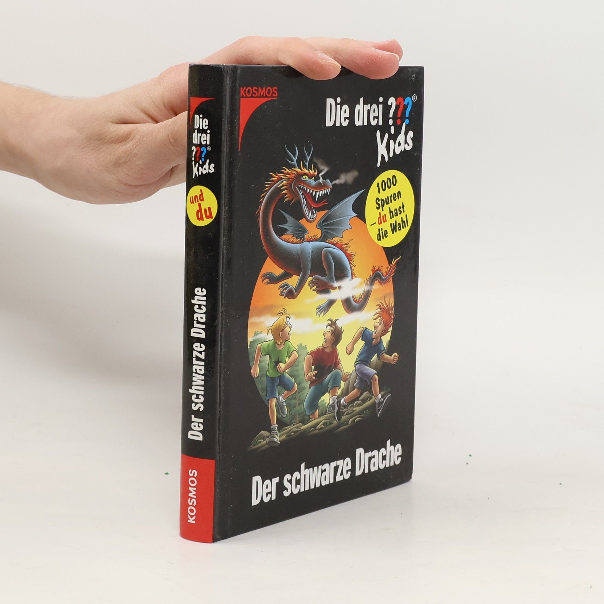 Boris Pfeiffer Der schwarze Drache