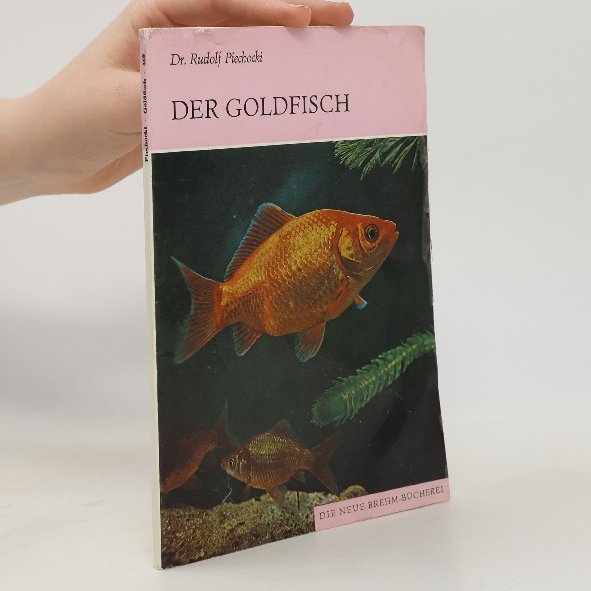 Der Goldfisch