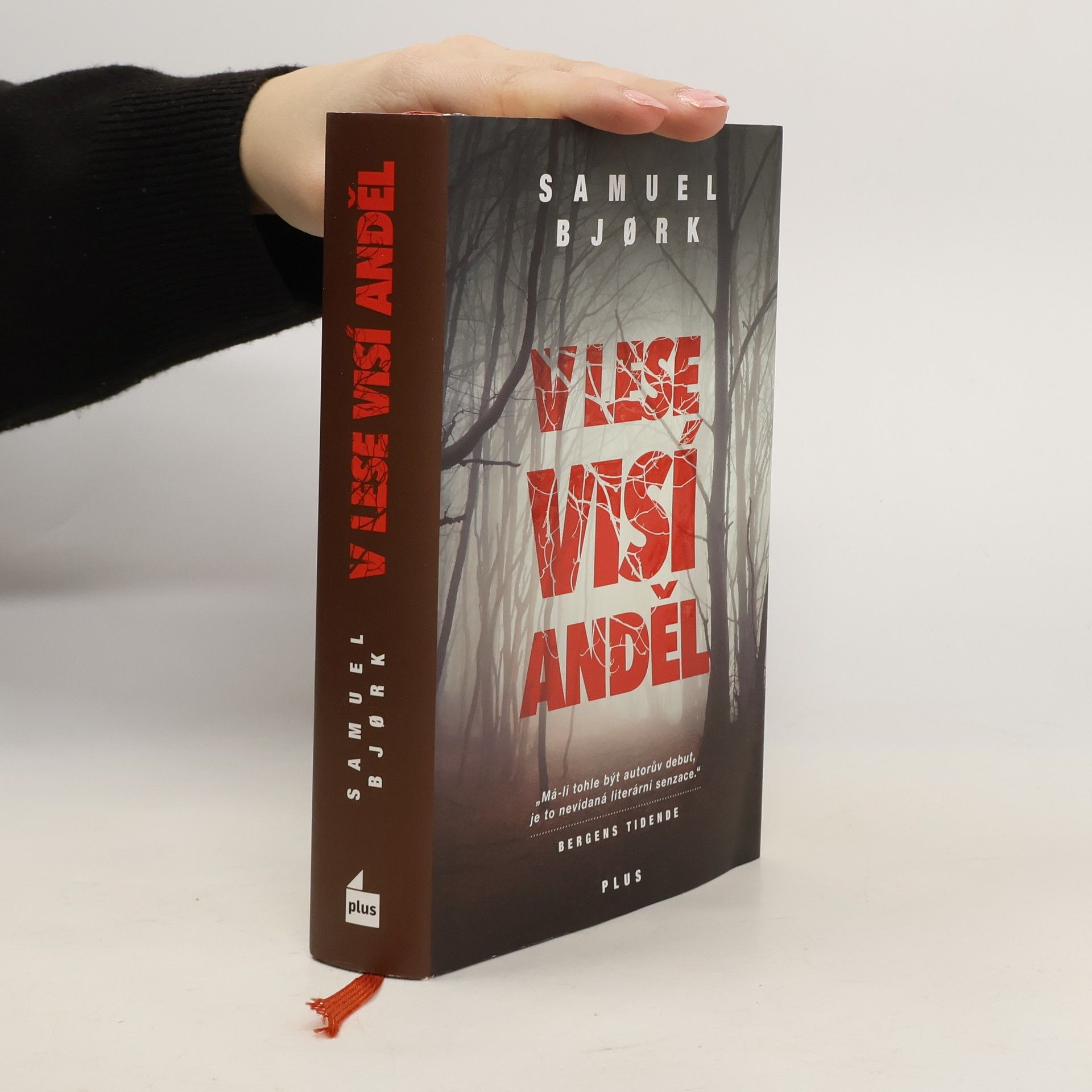 Samuel Bjork V lese visí anděl