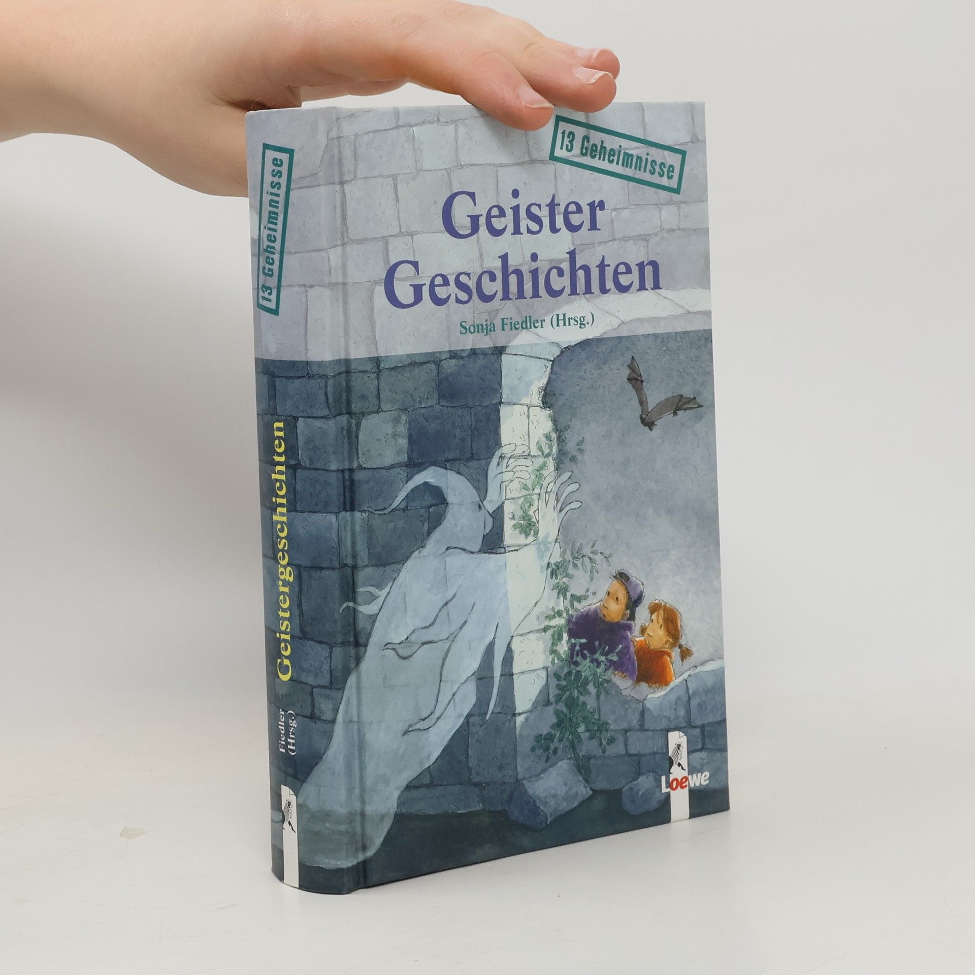 13 Geheimnisse