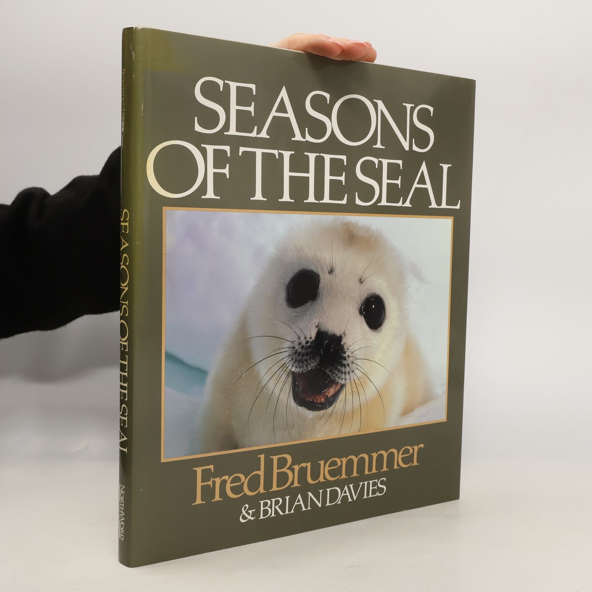 Seasons of the Seal