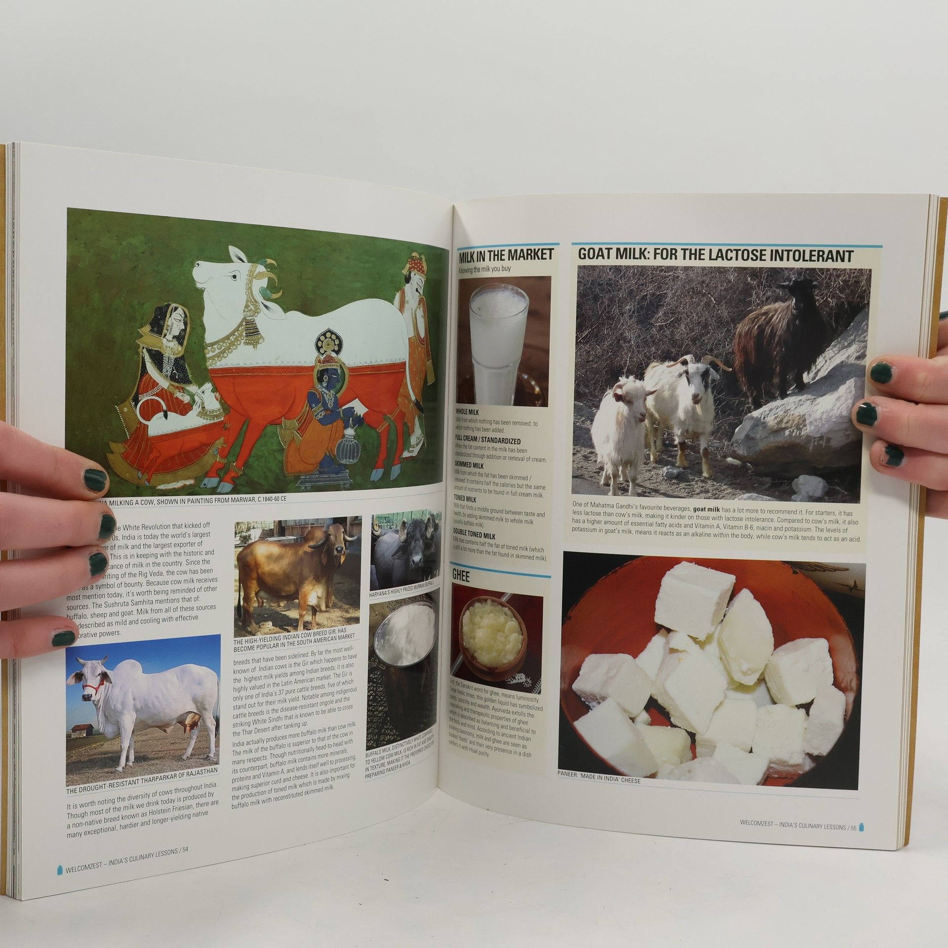 Kolektiv autorů India's Culinary Lessons: A Collector's Compendium