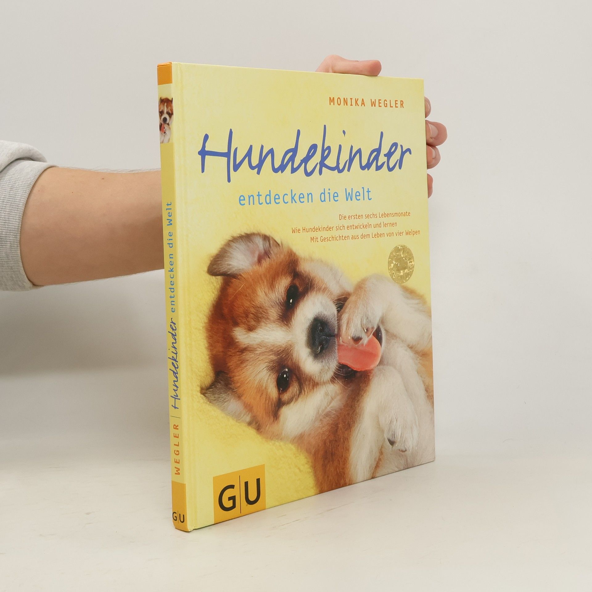 Hundekinder entdecken die Welt