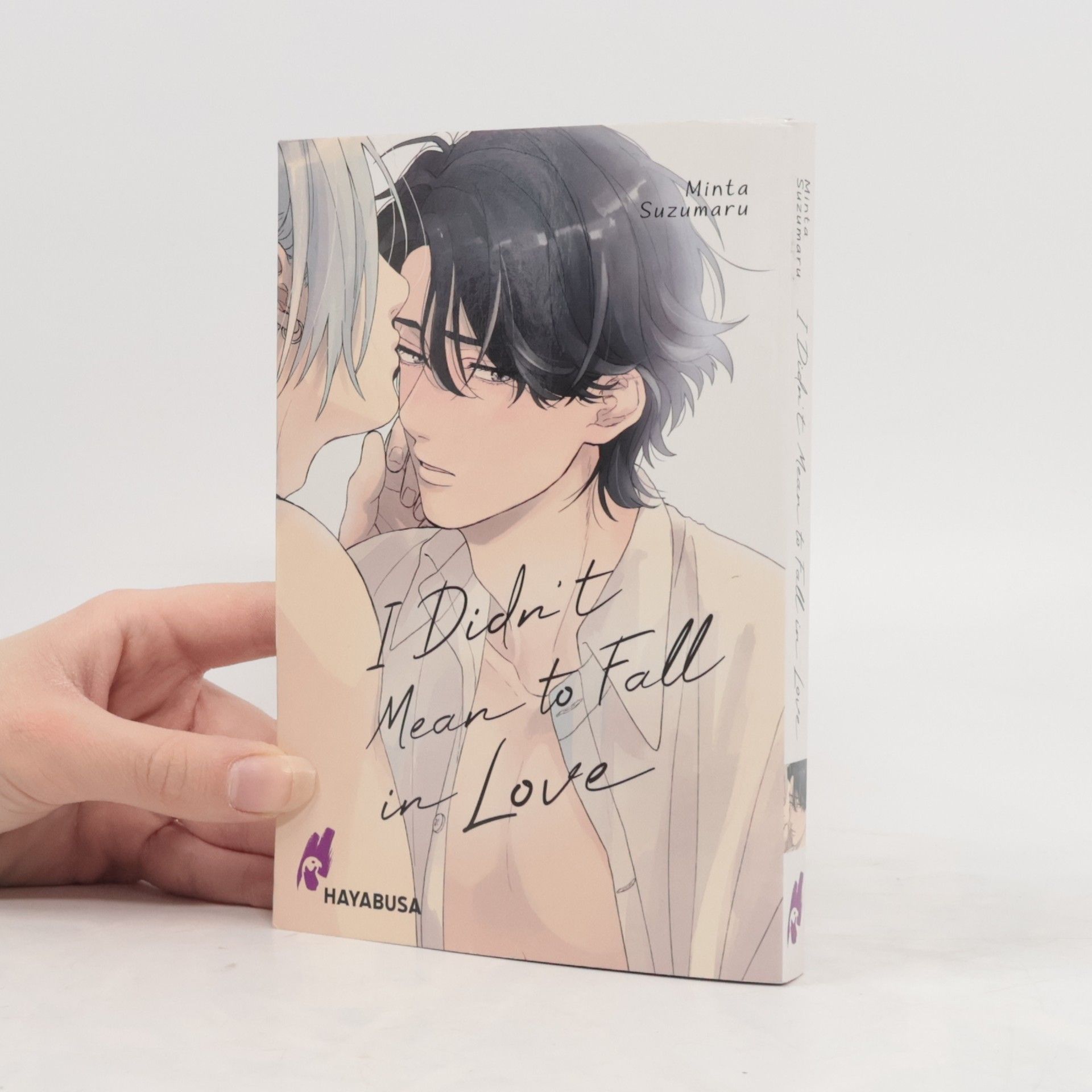 I Didn't Mean to Fall in Love