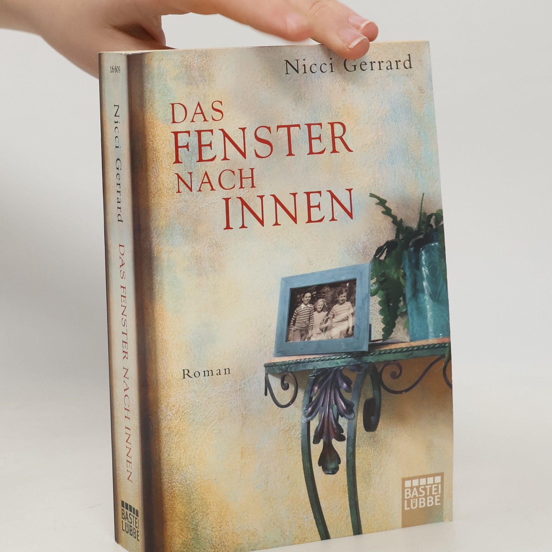 Das Fenster nach innen