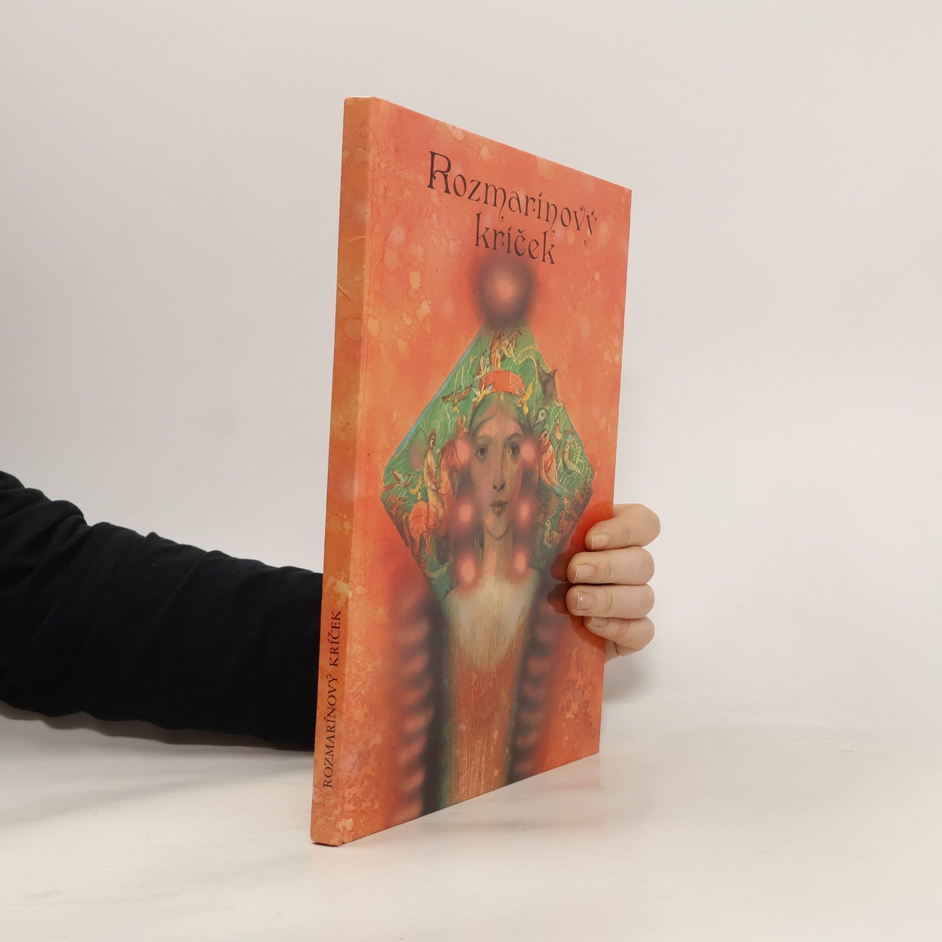 Karol Ondreička Rozmarínový kríček