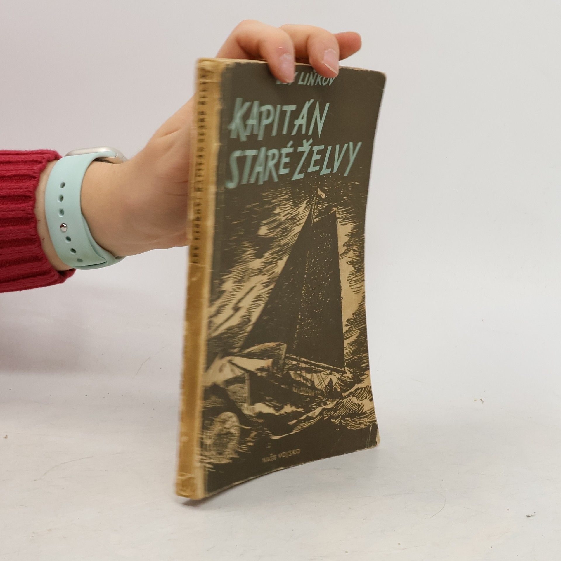 Lev Liňkov Kapitán "Staré želvy"