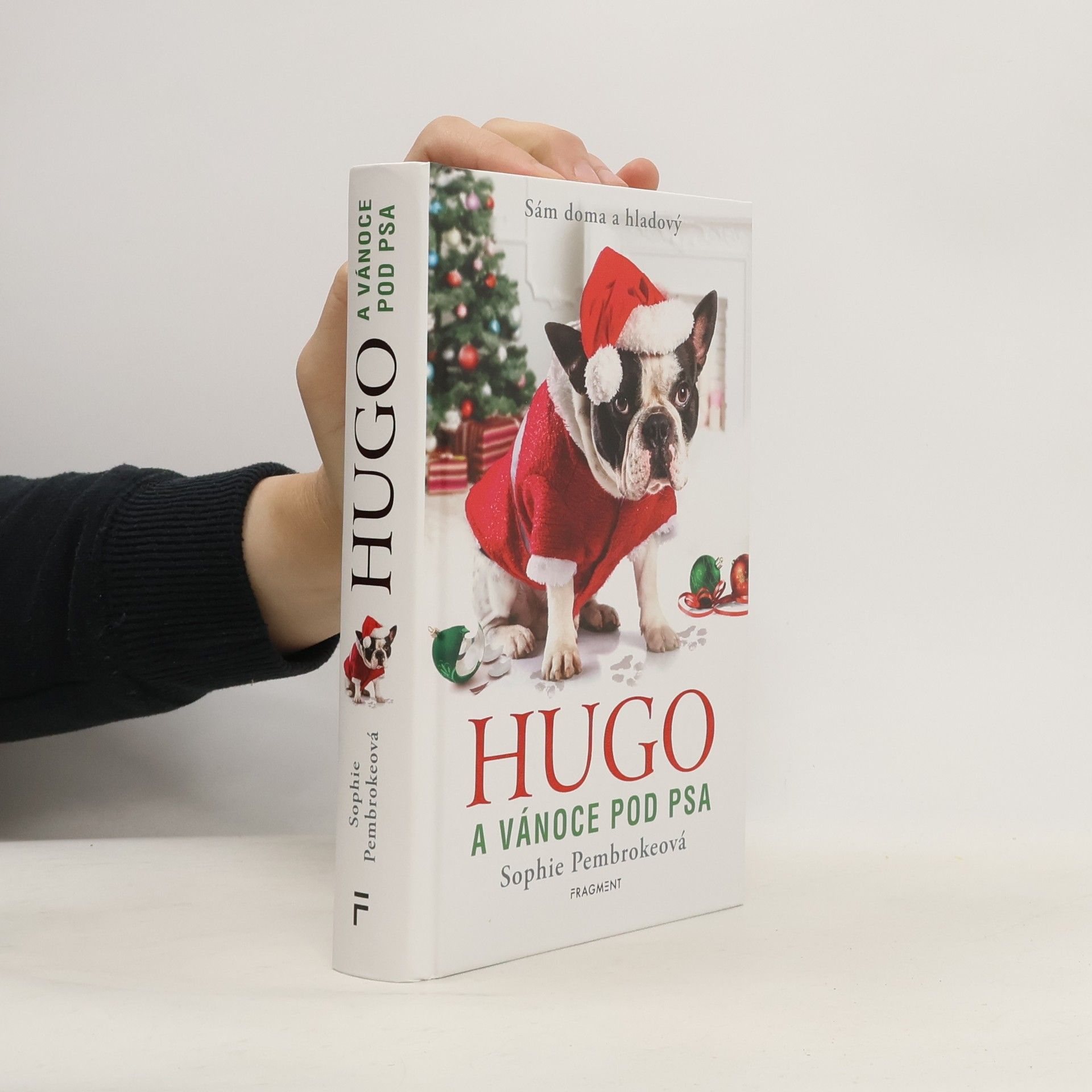 Sophie Pembroke Hugo a Vánoce pod psa