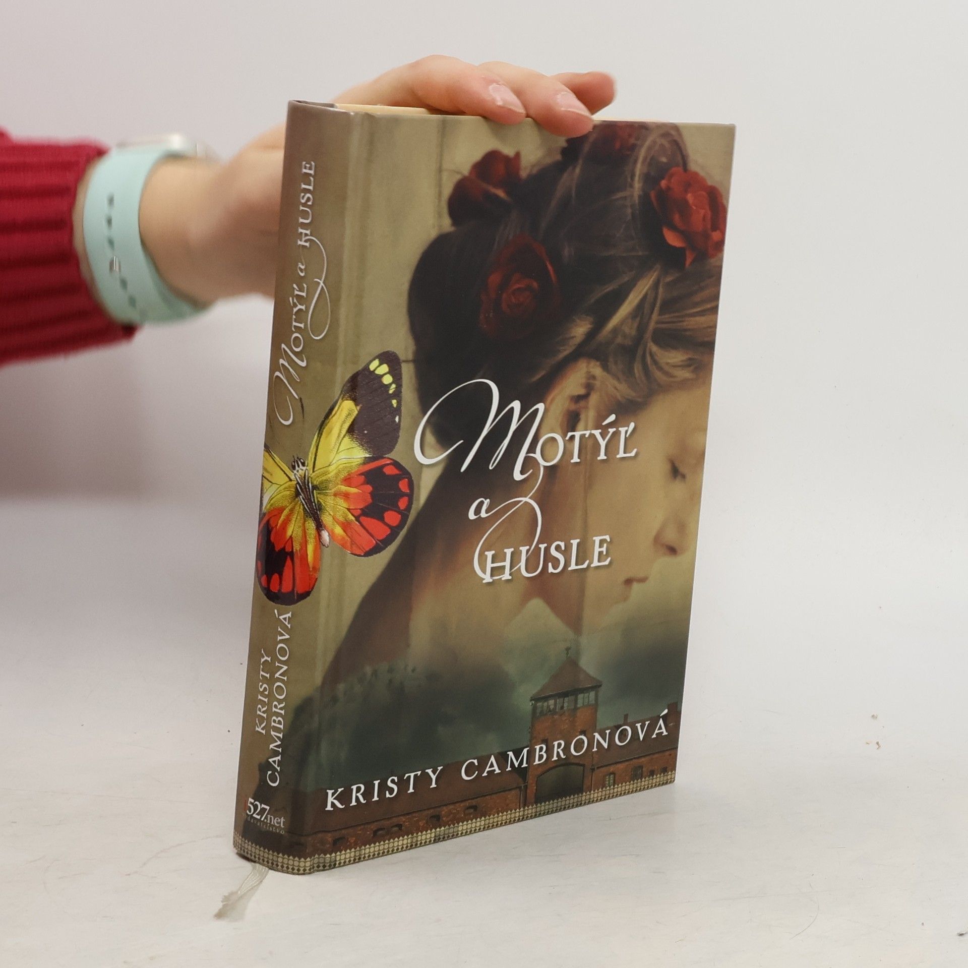 Kristy Cambron Motýl a husle