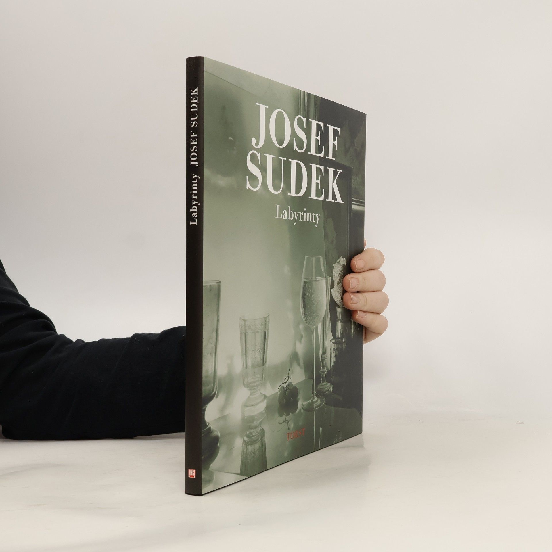 Josef Sudek Labyrinty