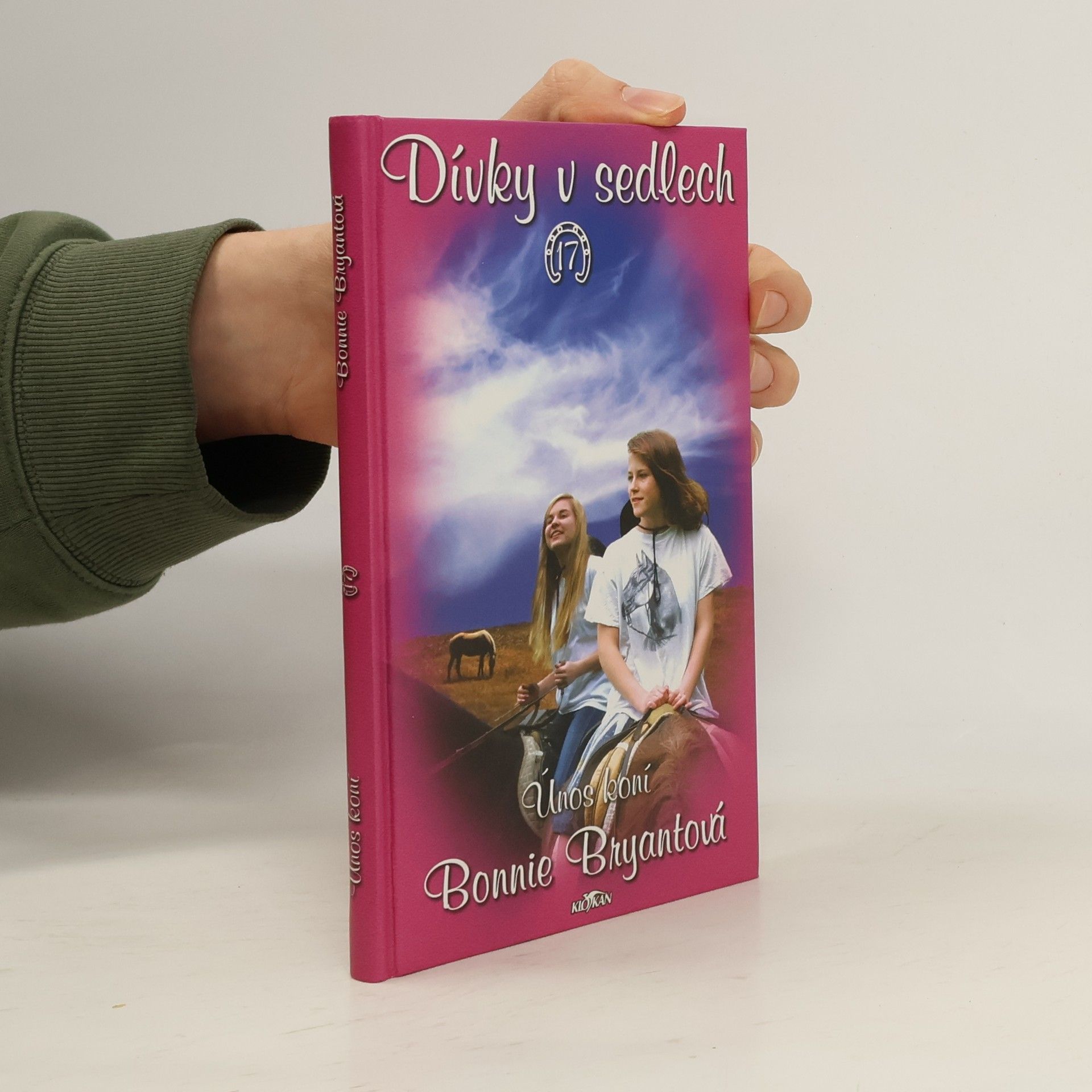 Bonnie Bryant Dívky v sedlech. 17, Únos koní