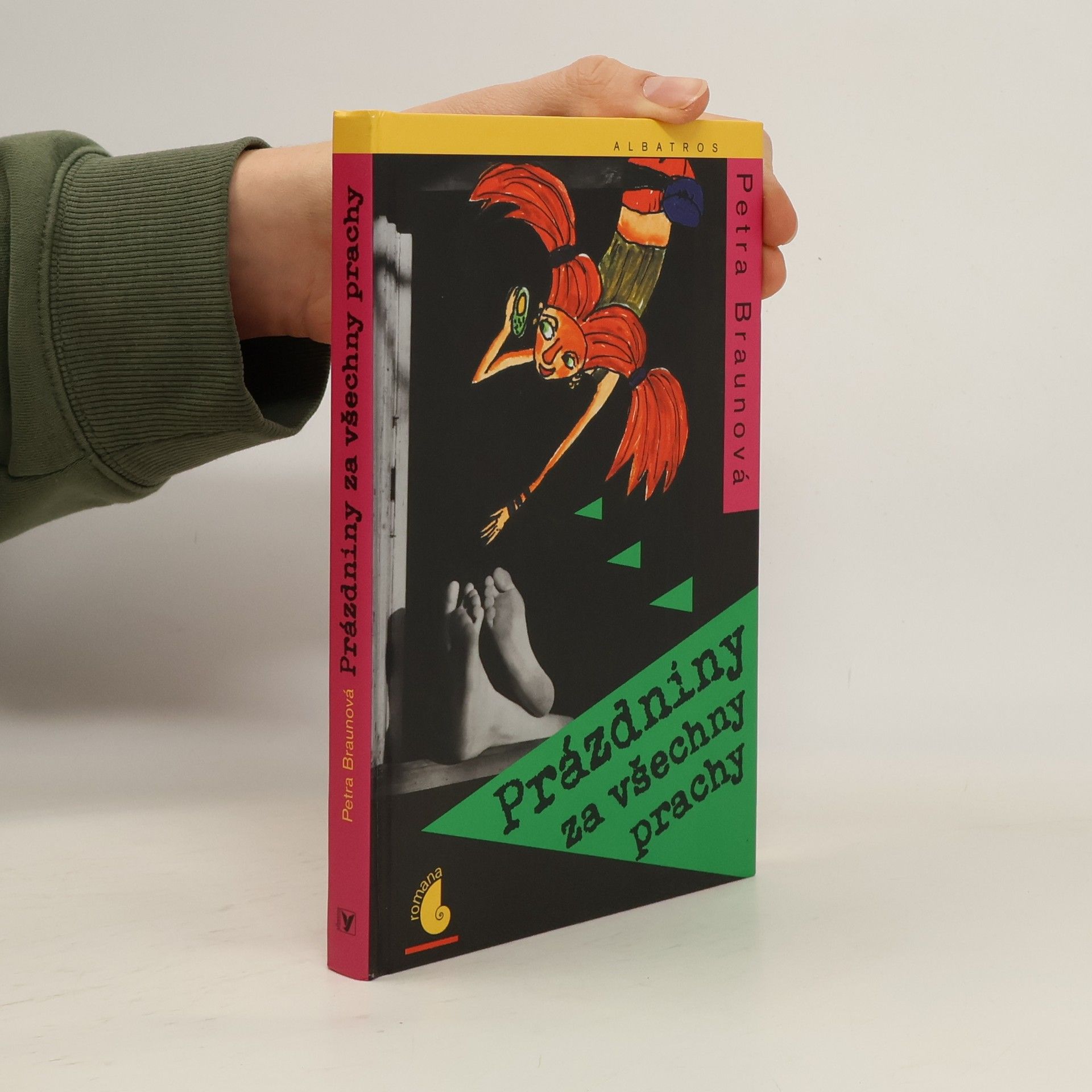 Petra Braun Groh Prázdniny za všechny prachy