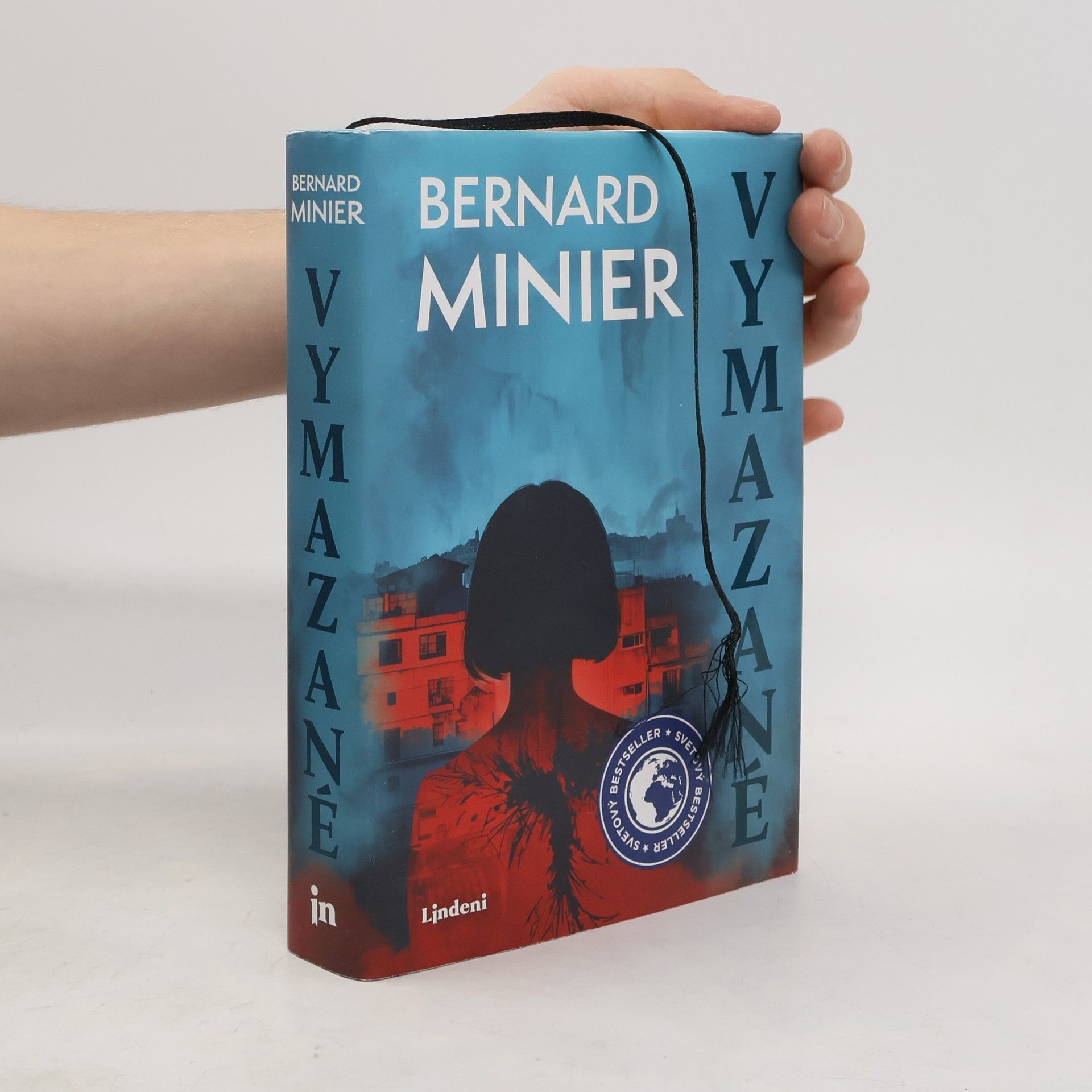 Bernard Minier Vymazané