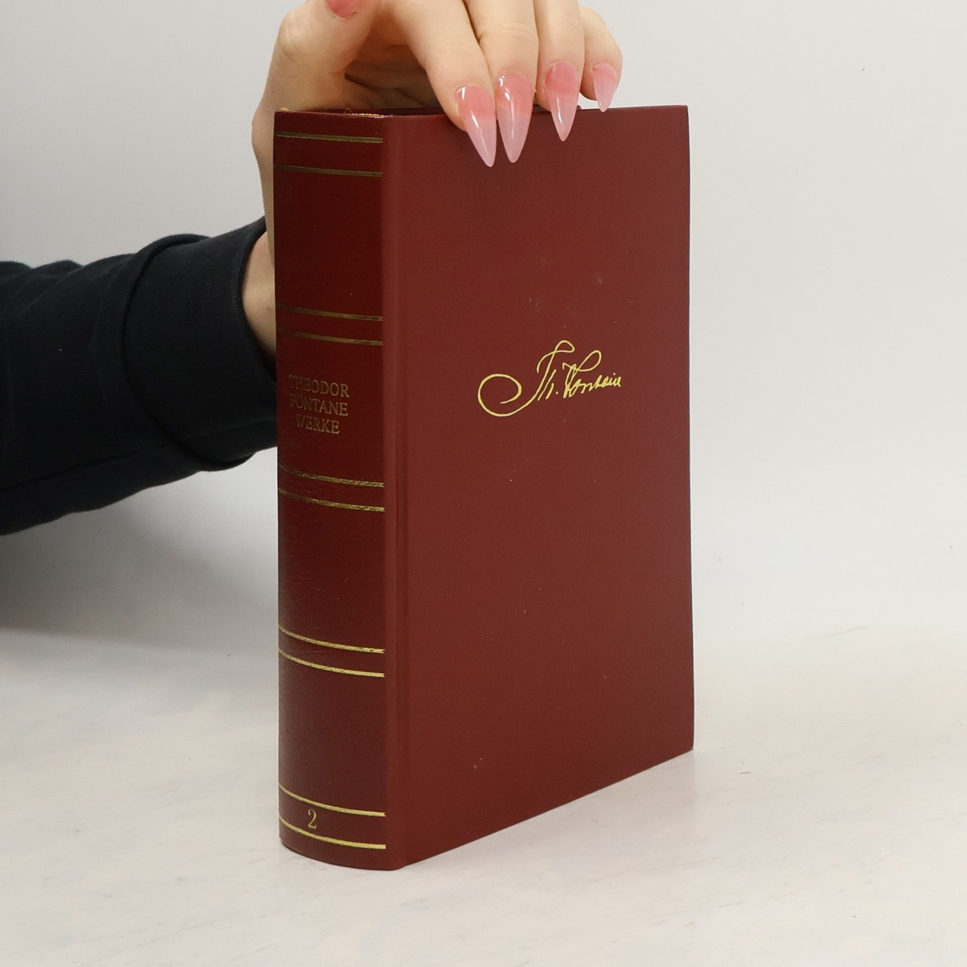 Theodor Fontane Ausgewählte Werke. Band 2