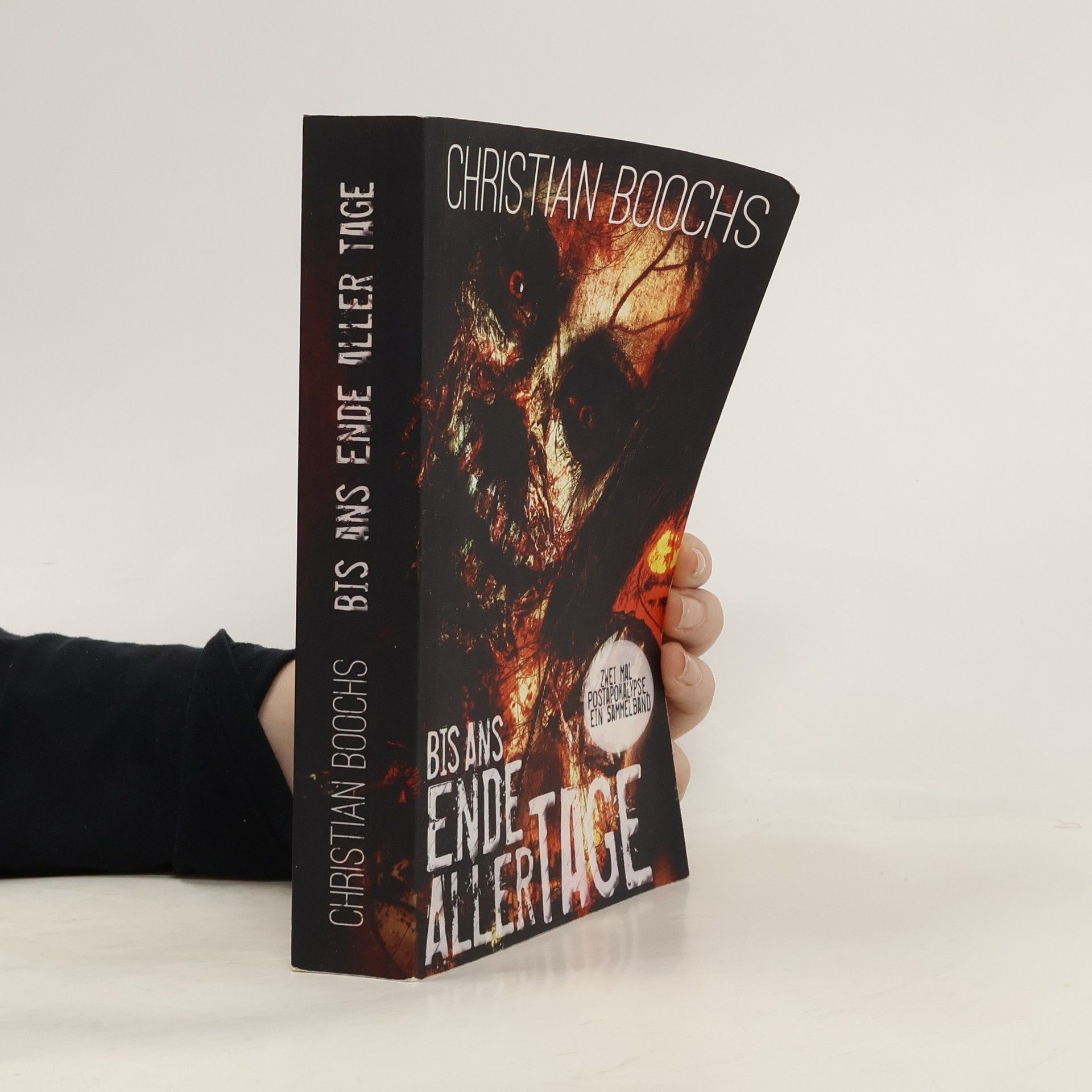 Christian Boochs Bis ans Ende aller Tage
