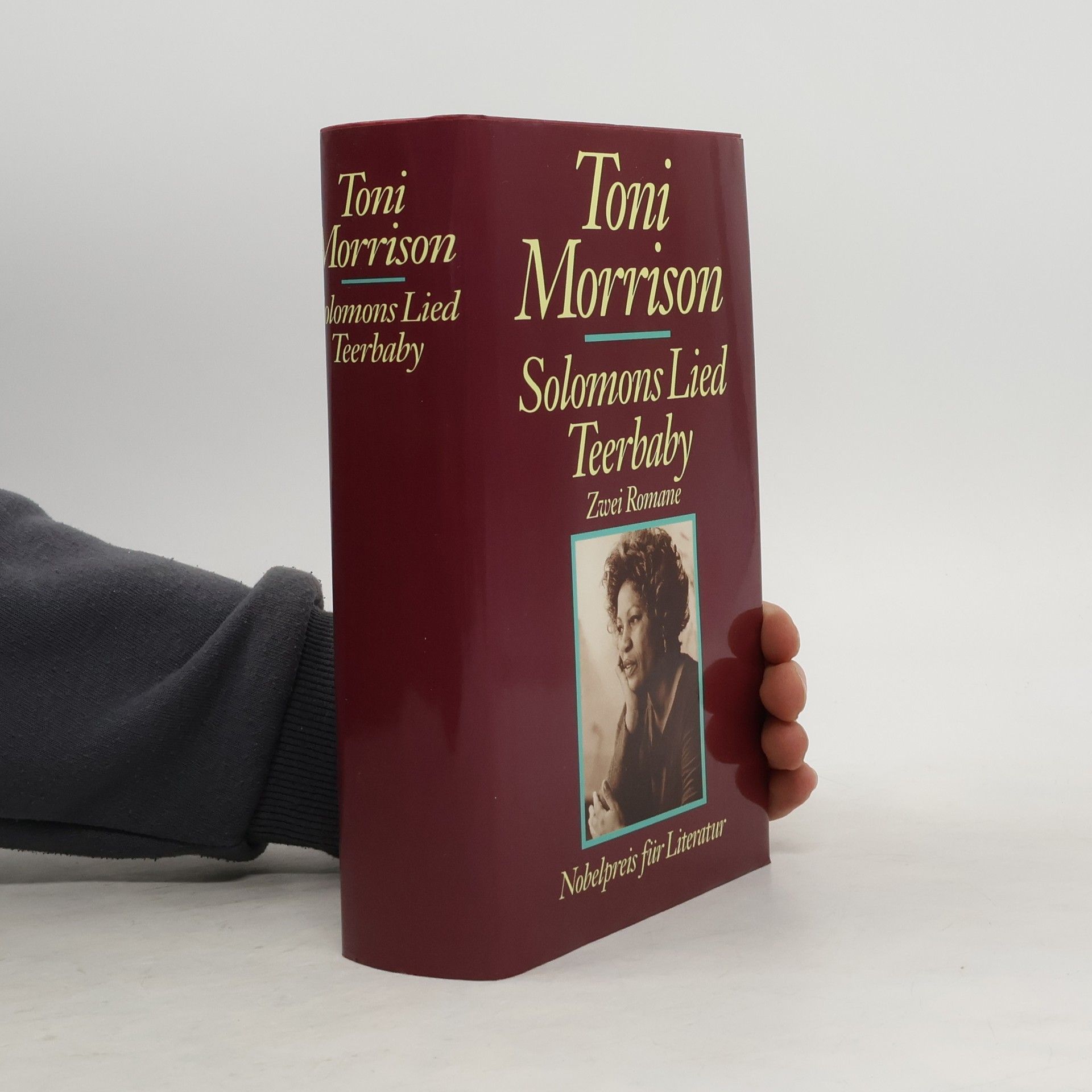 Toni Morrison Solomons Lied. Teerbaby