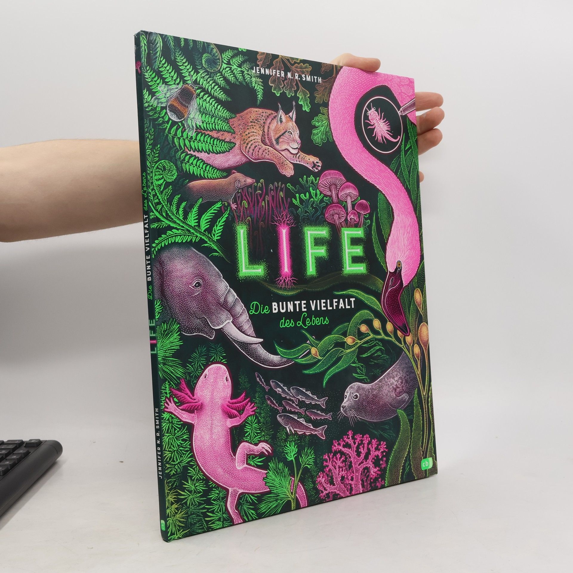 Jennifer N.R. Smith Life - die bunte Vielfalt des Lebens