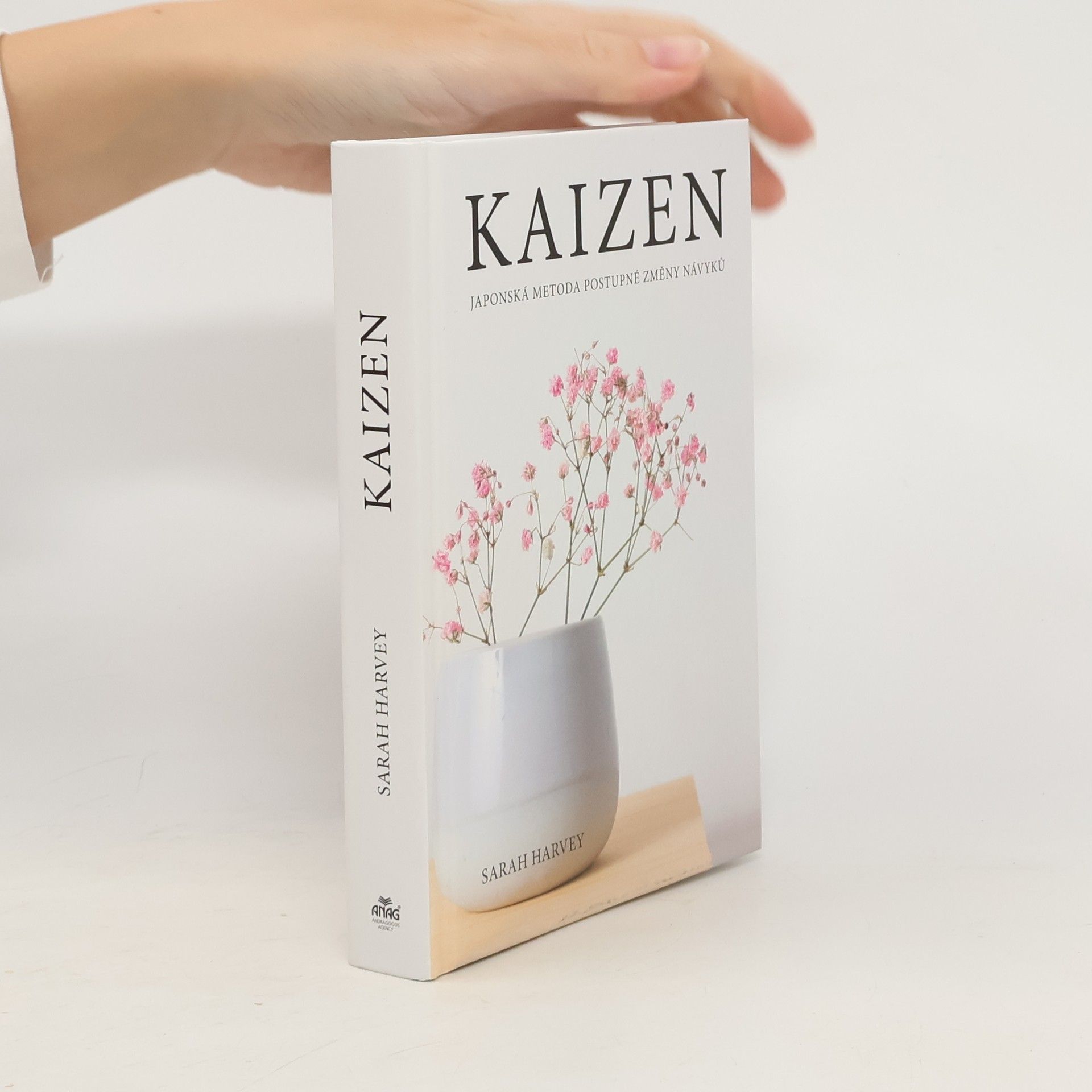 Kaizen: Japonská metoda postupné změny návyků