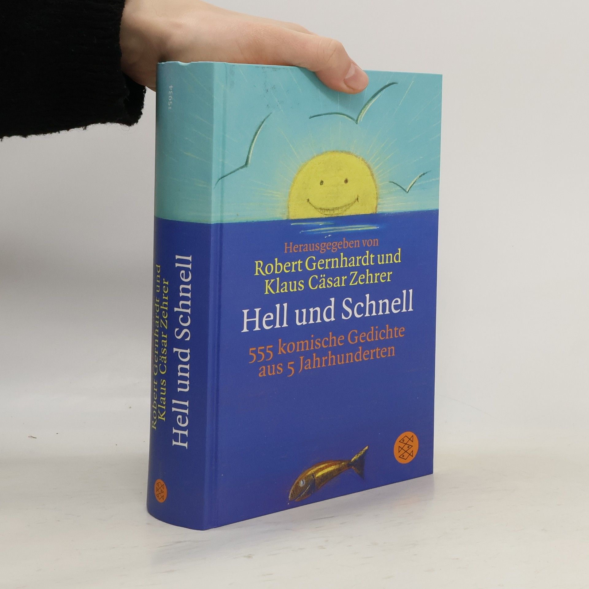 Robert Gernhardt Hell und schnell