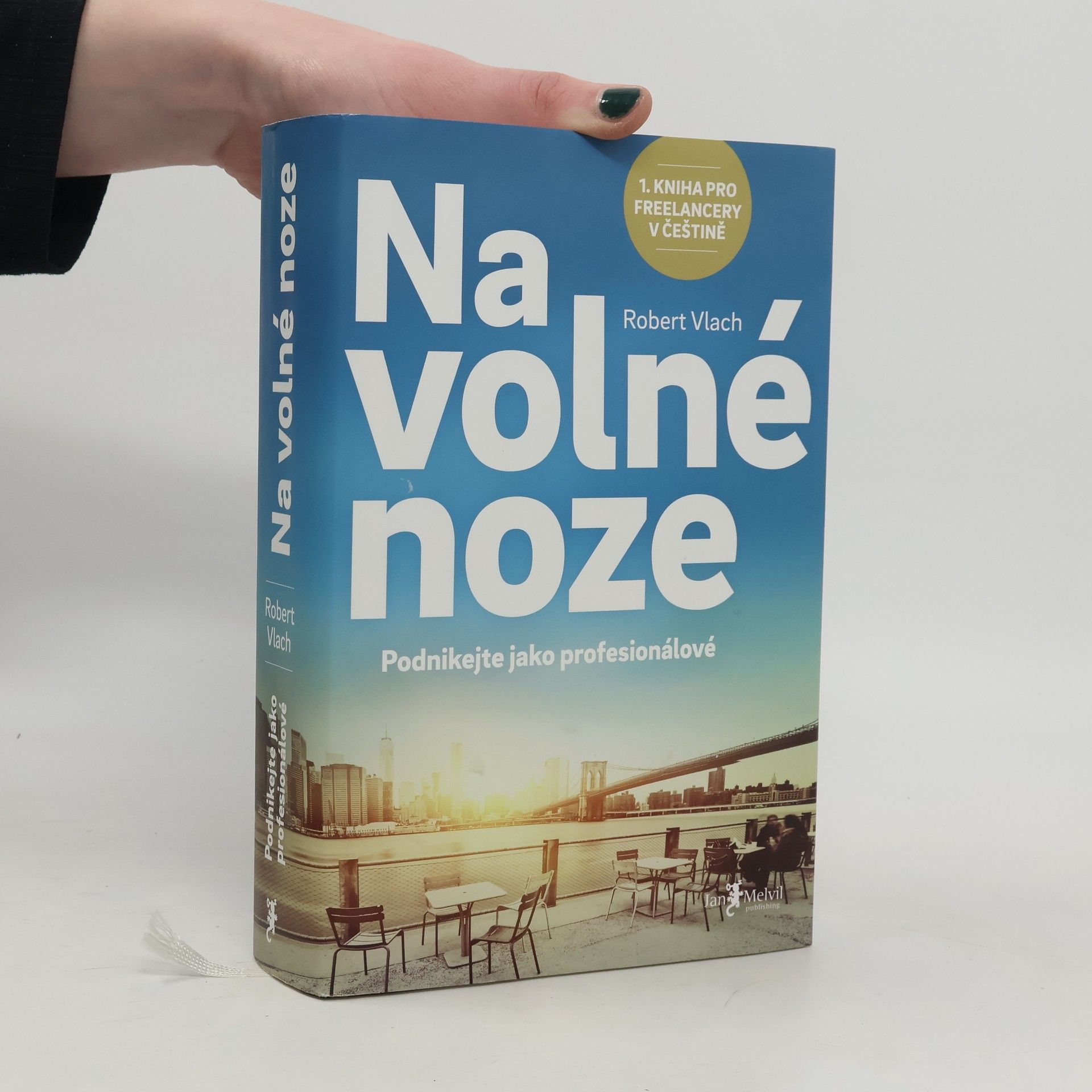 Robert Vlach Na volné noze