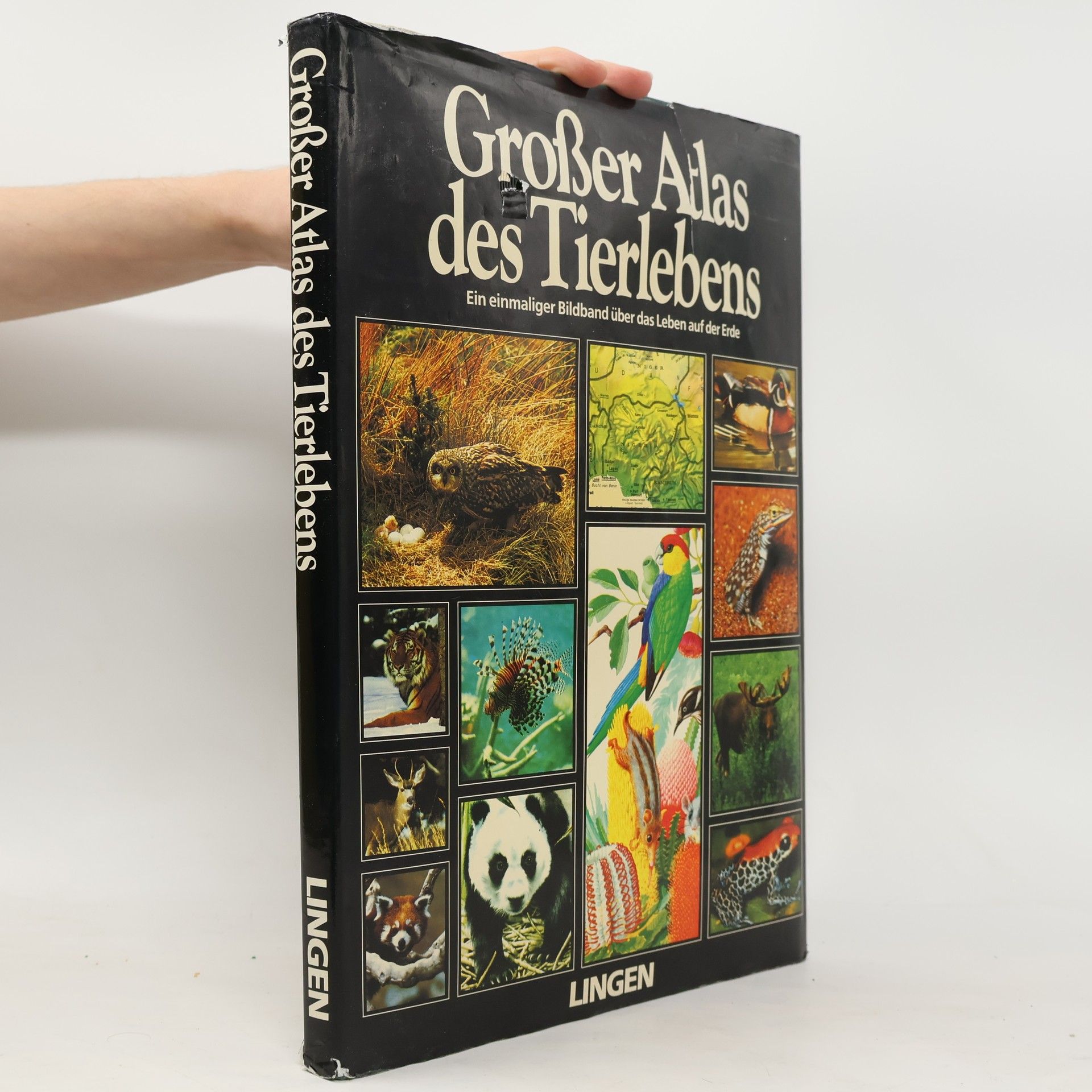 Auteurscollectief Großer Atlas des Tierlebens