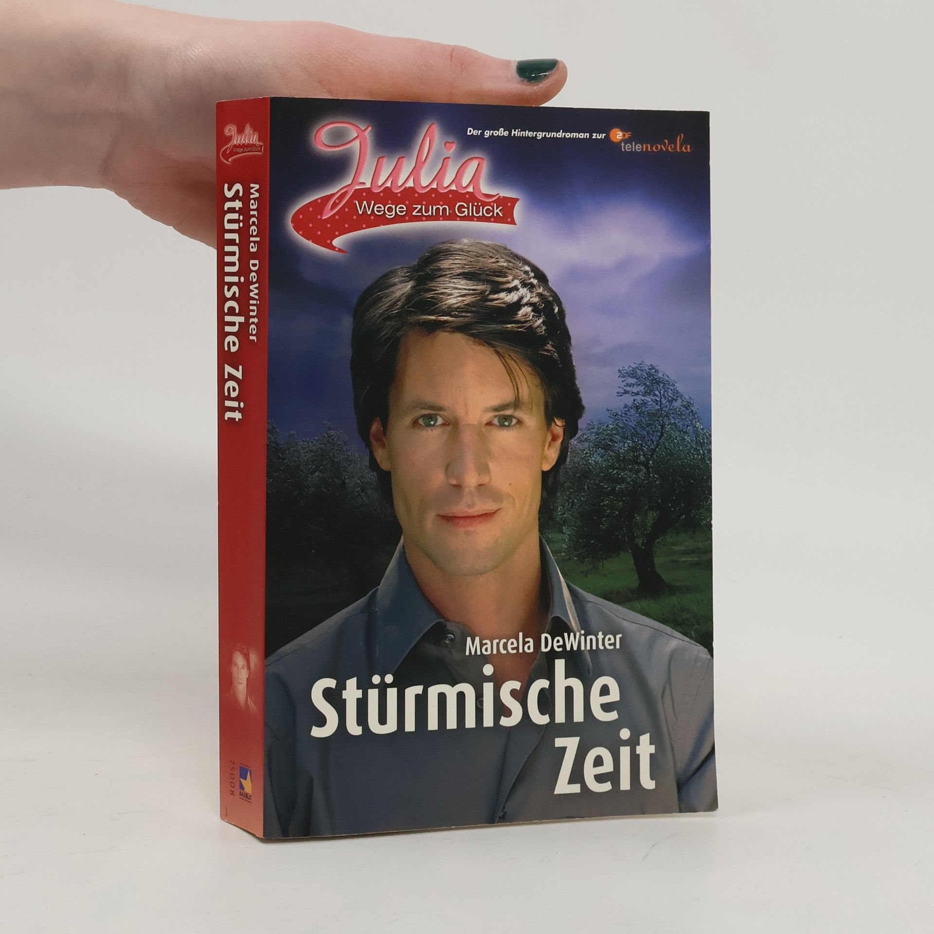 Julia - Wege zum Glück. Stürmische Zeit