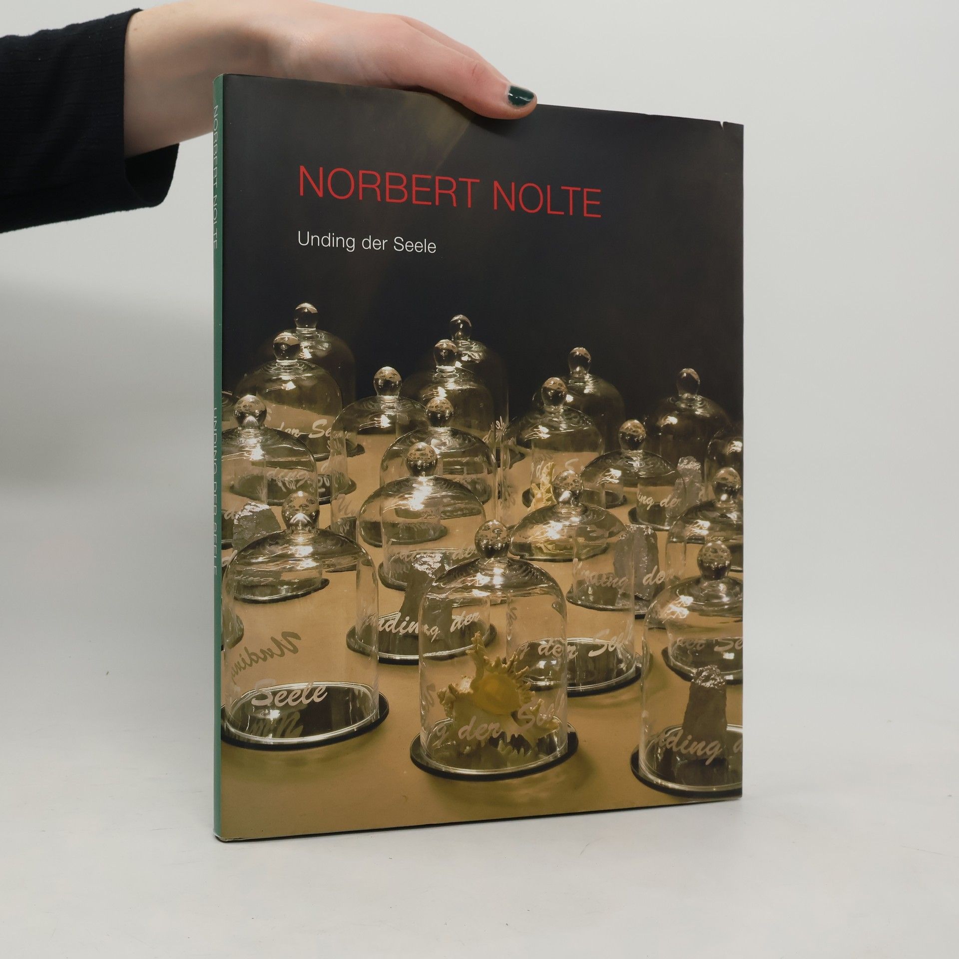 Norbert Nolte Unding der Seele