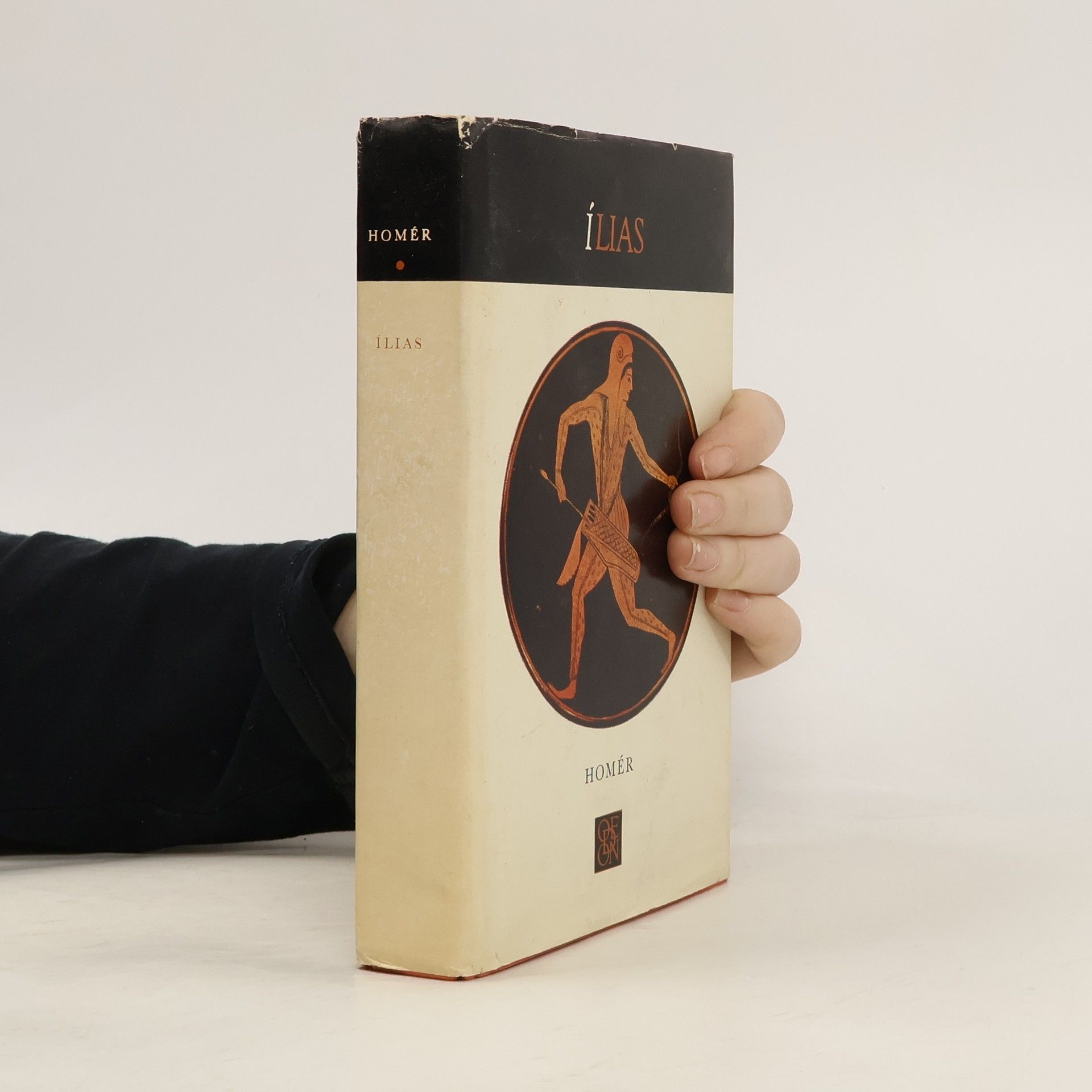 Homère Ílias