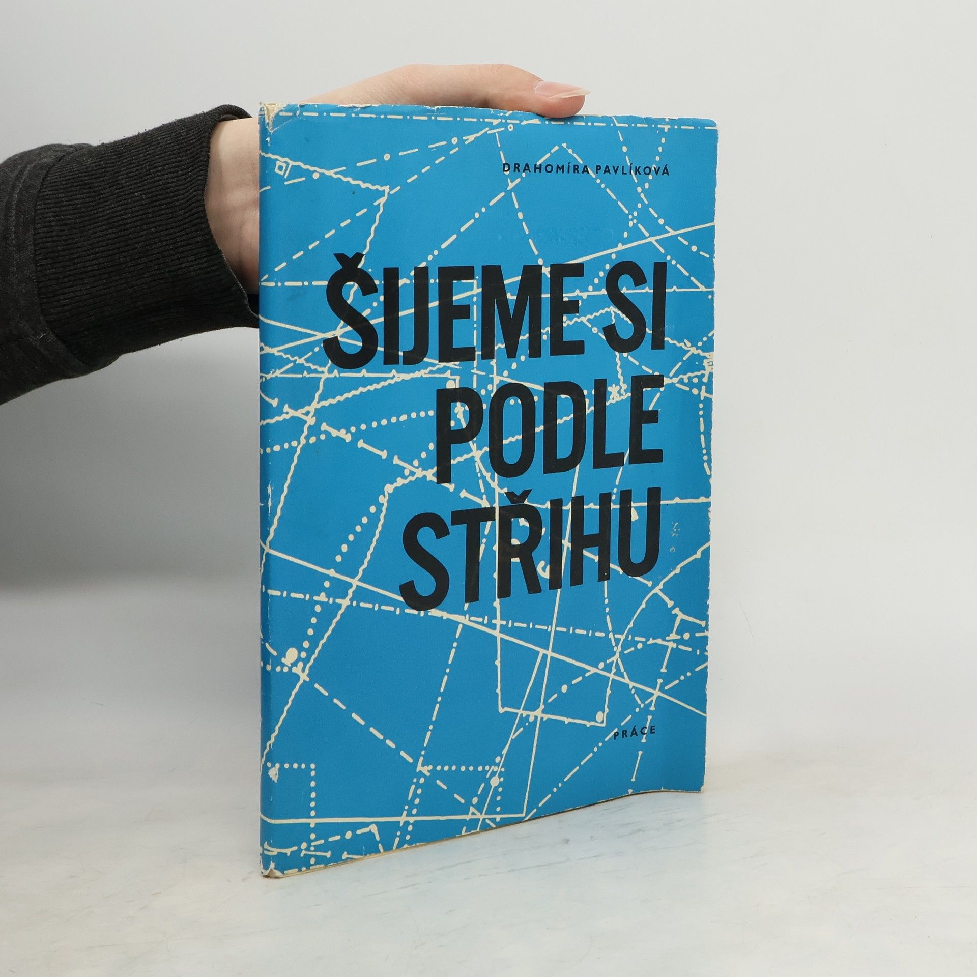 Drahomíra Pavlíková Šijeme si podle střihu