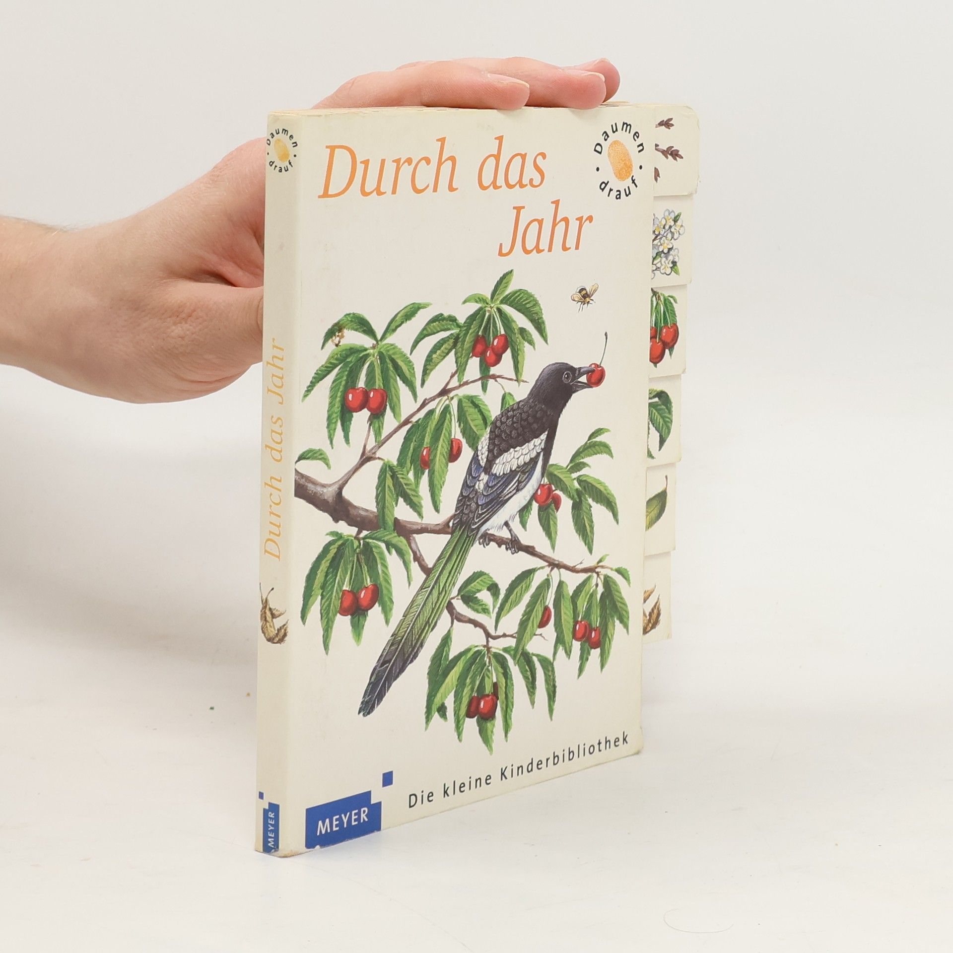 Collectif d'auteurs Durch das Jahr