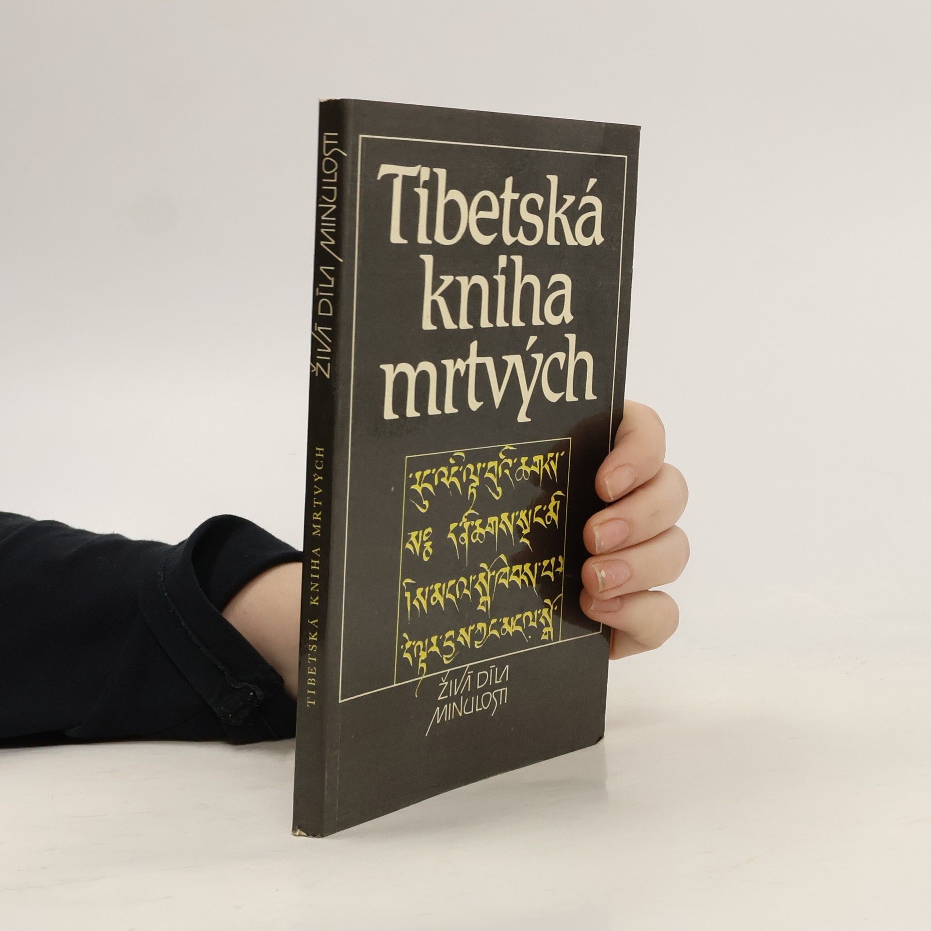 Kolektiv autorů Tibetská kniha mrtvých