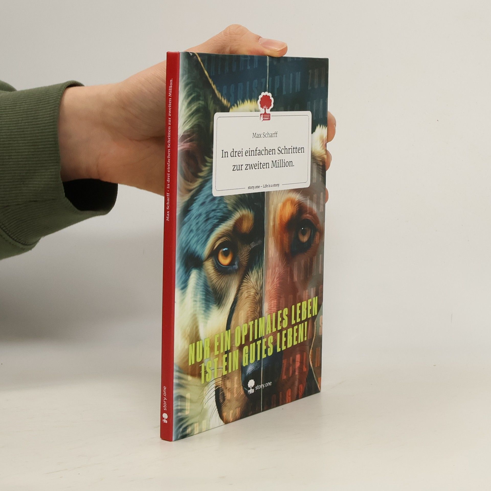 Max Scharff In drei einfachen Schritten zur zweiten Million