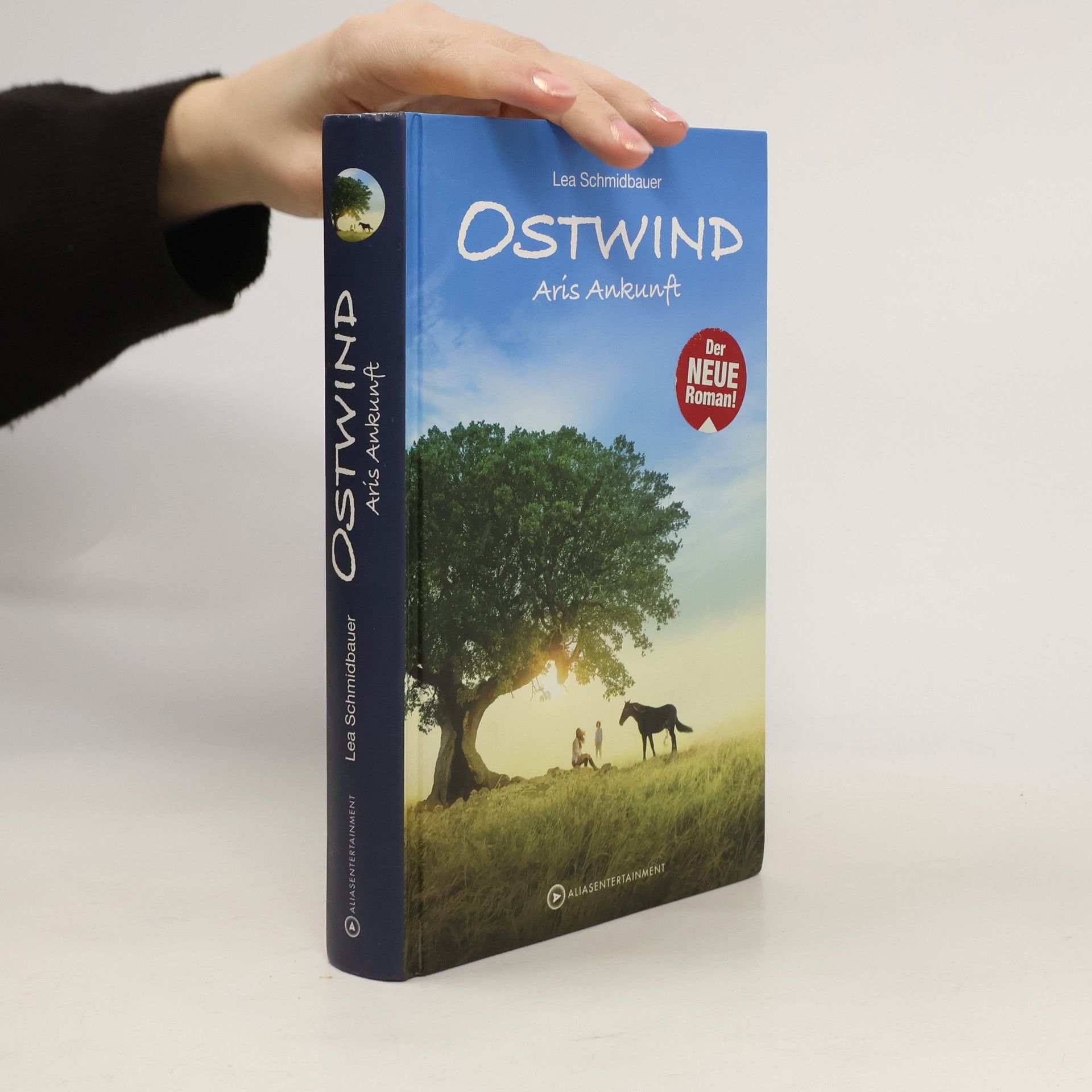 Ostwind - Arís Ankunft