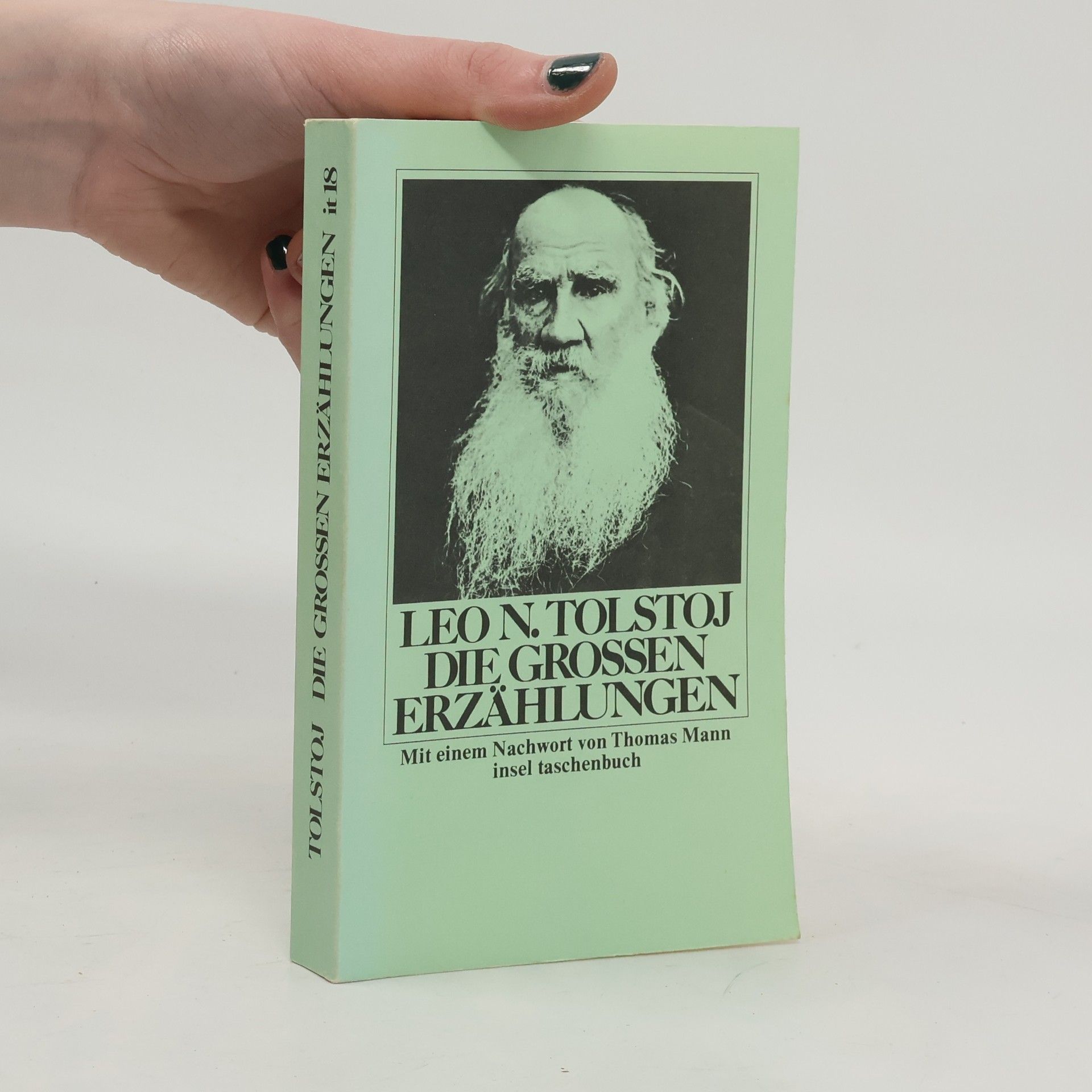 Lew Nikolajewitsch Tolstoi Die grossen Erzählungen