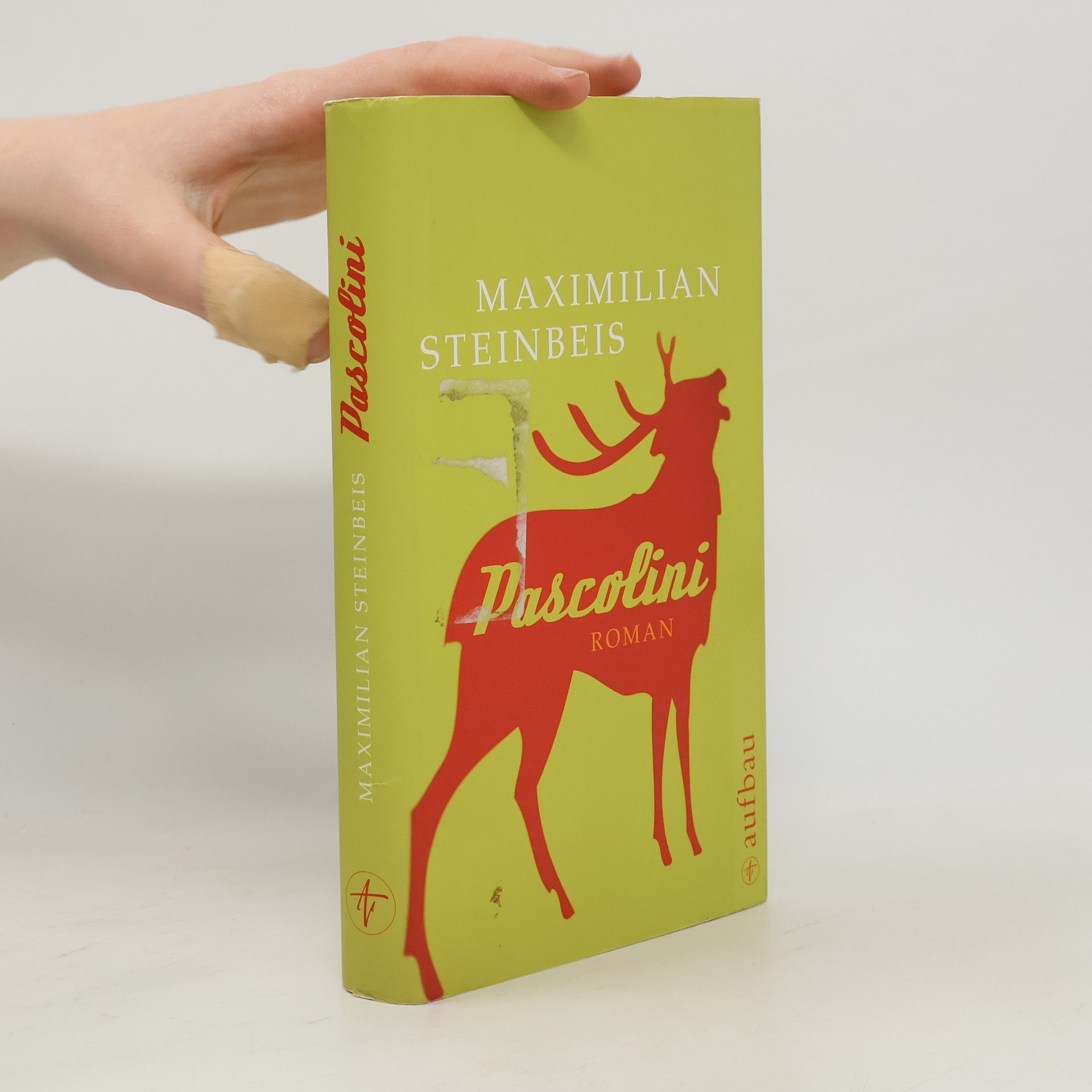 Maximilian Steinbeis Pascolini