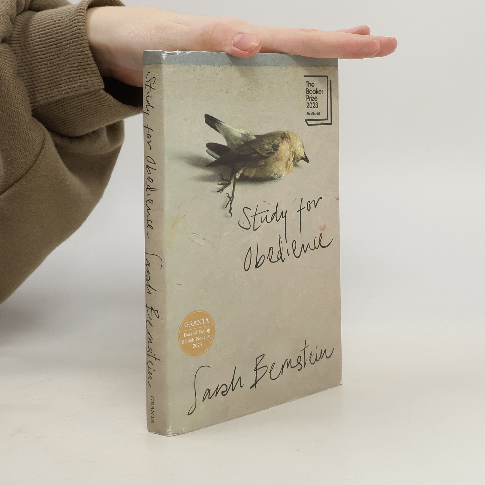 Sarah Bernstein Study for Obedience